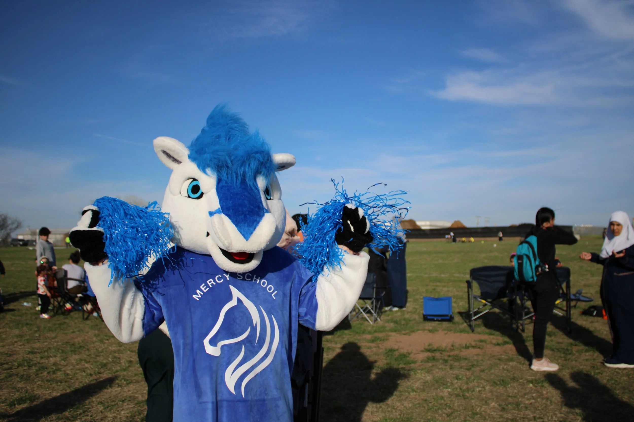 Mercy School Institute