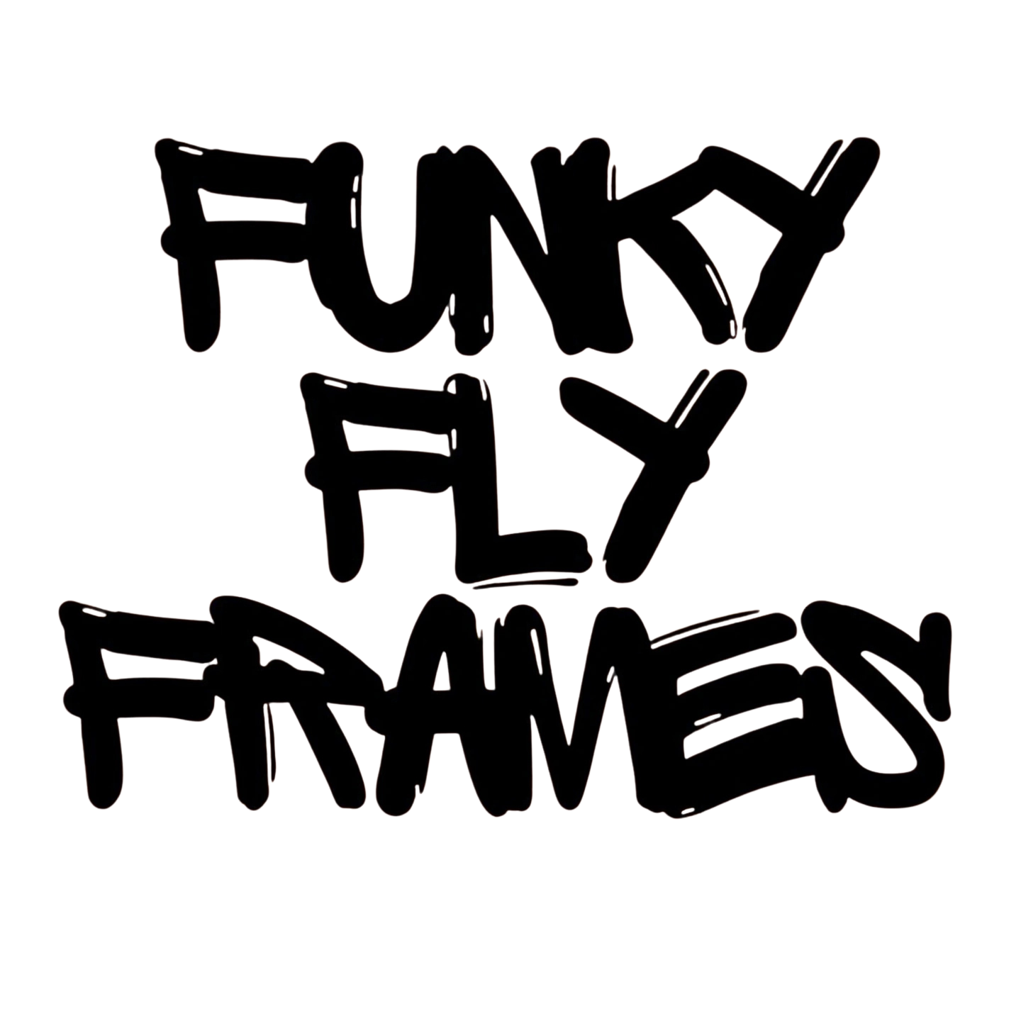 Funky Fly Frames