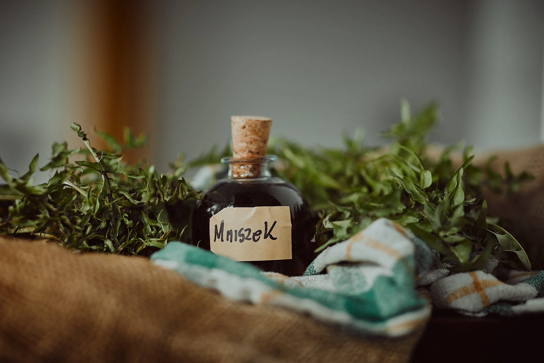 LHS_20230331__165_mniszek.jpg