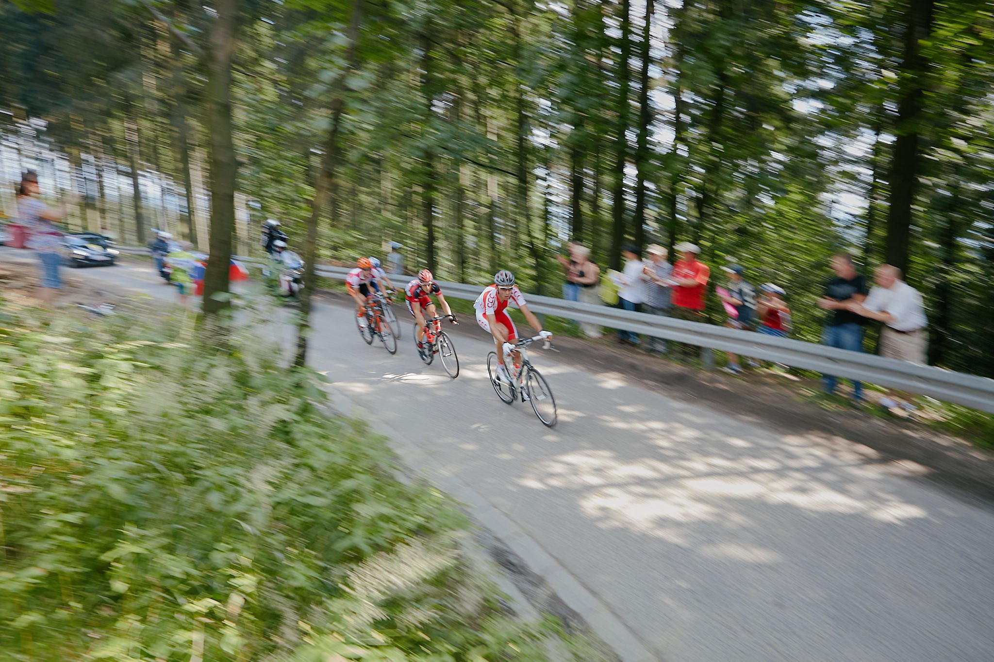 Cyclists racing on a winding road through a forest with spectators watching from the side.