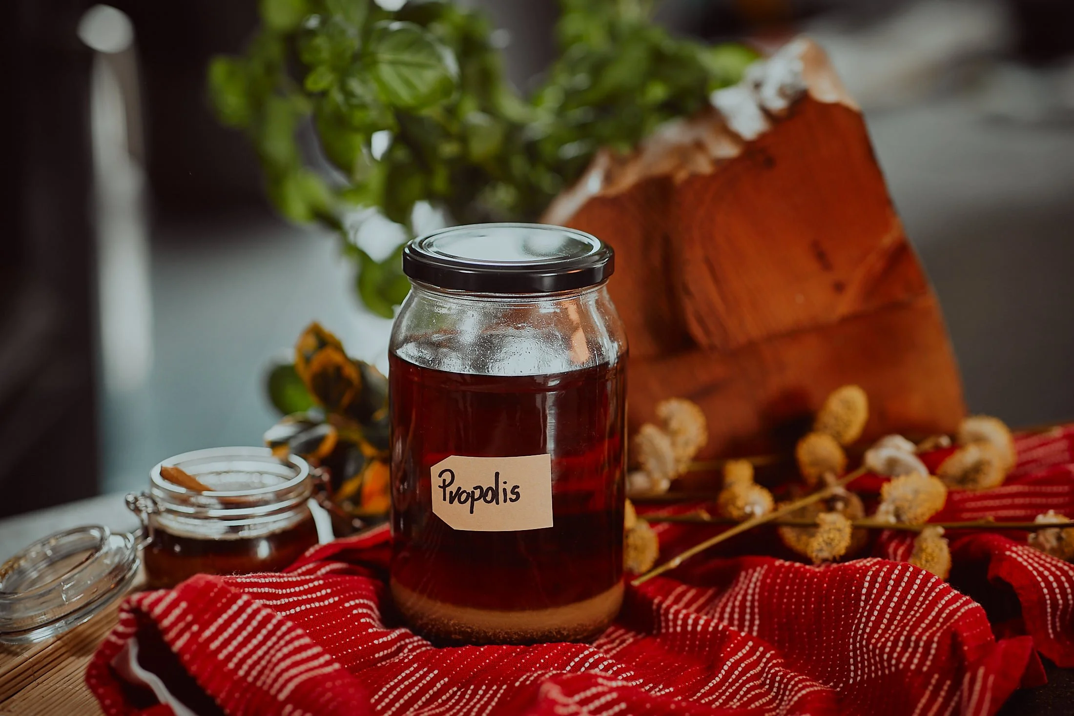 LHS_20230331__159_propolis.jpg