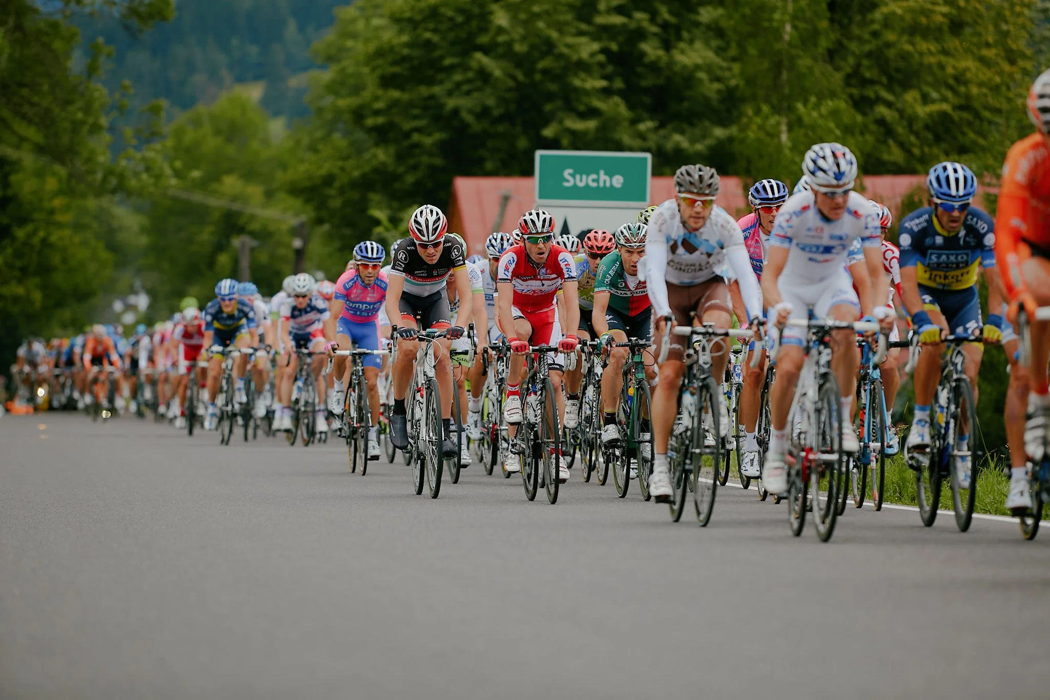 A group of cyclists participating in a race riding on a road surrounded by trees and a sign that reads "Suche" in the background.