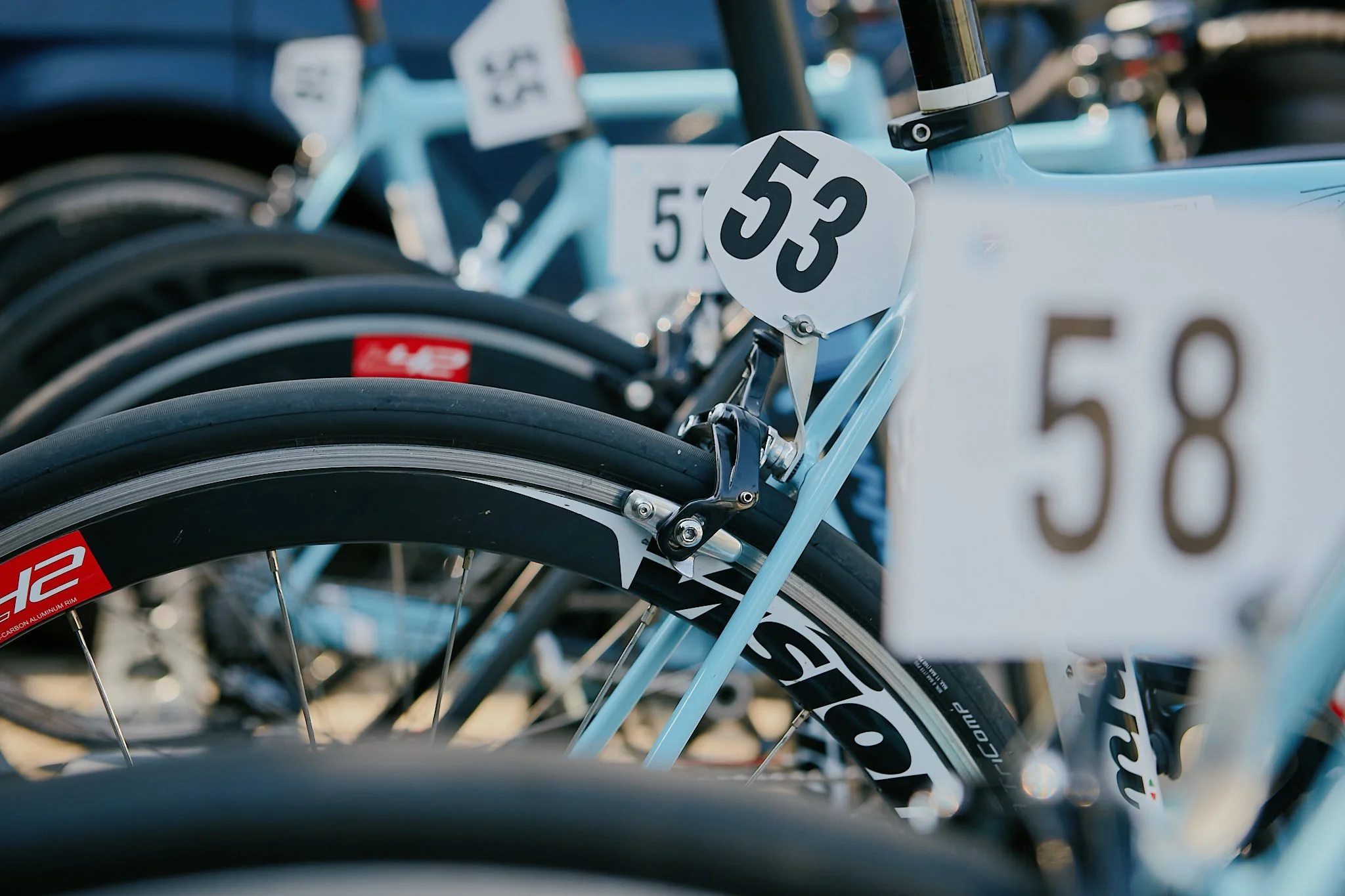 Row of blue racing bicycles with black tires and white number plates, parked side by side.
