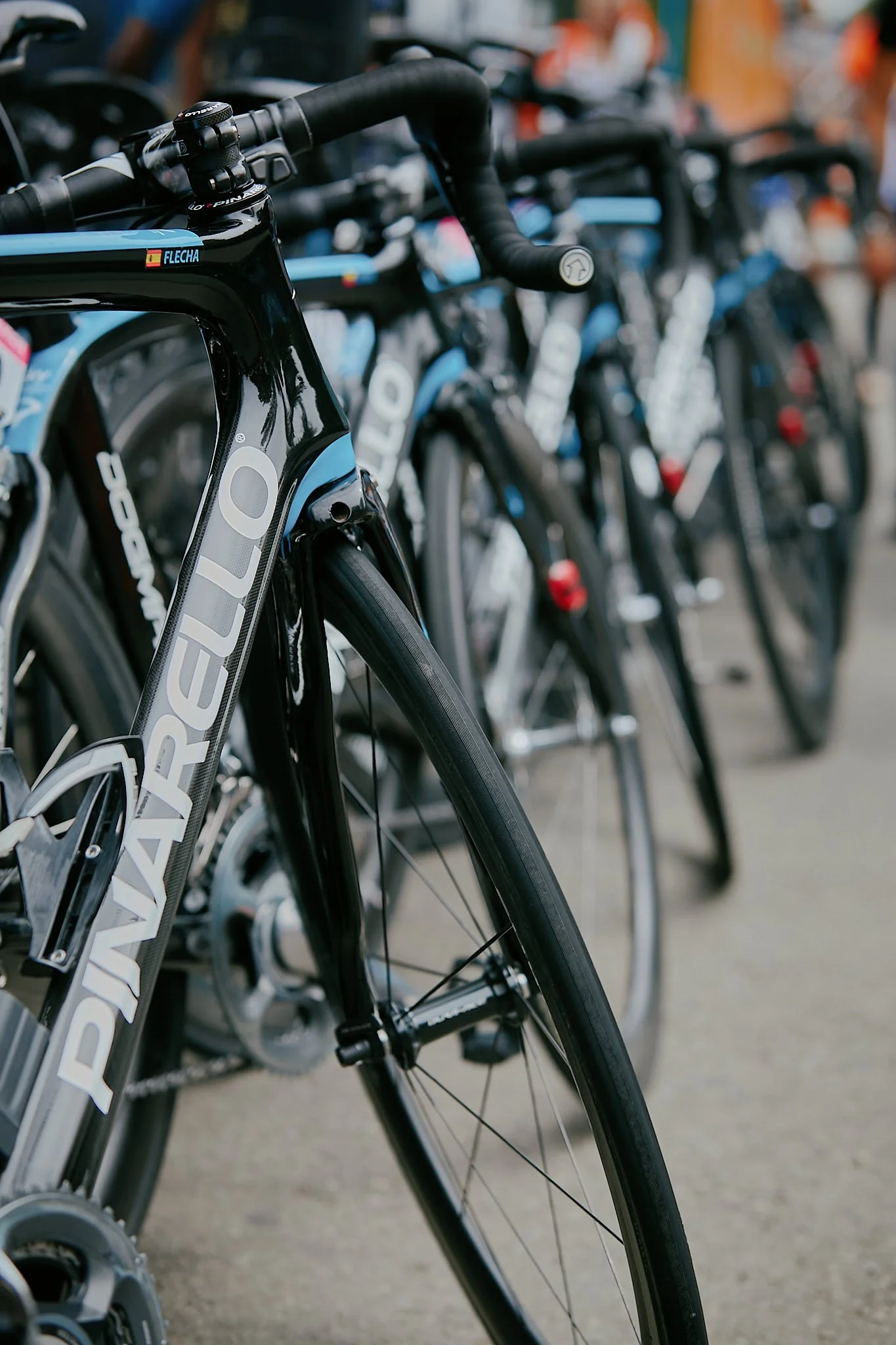Close-up of a row of black and blue Trek road bicycles lined up outdoors.