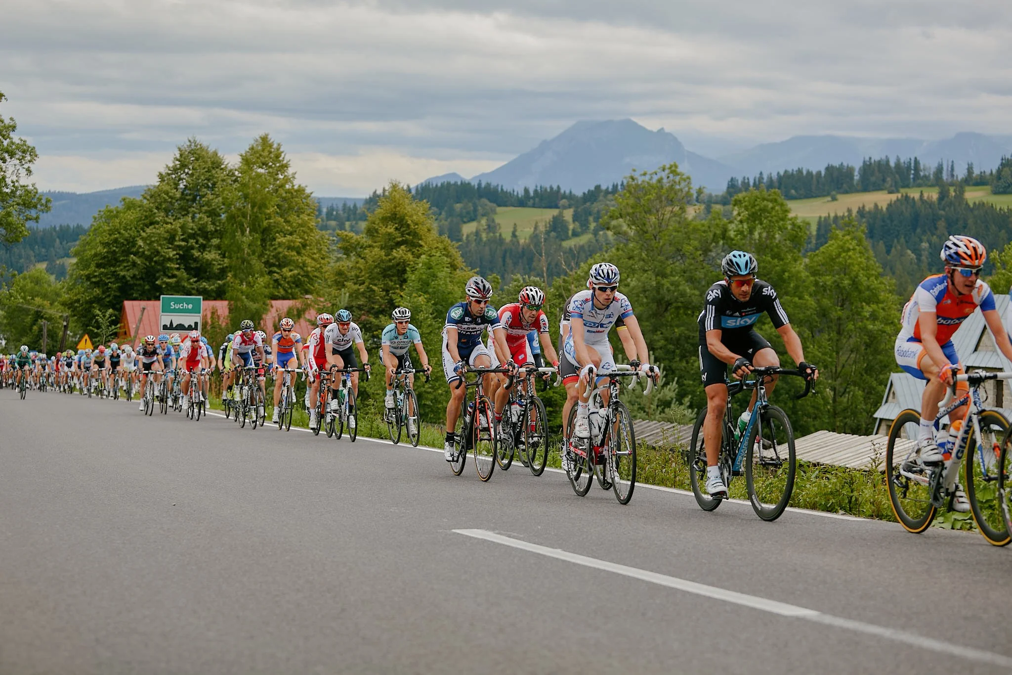 A large group of cyclists riding on a rural road surrounded by green trees and hills, with mountains in the distance under a cloudy sky.