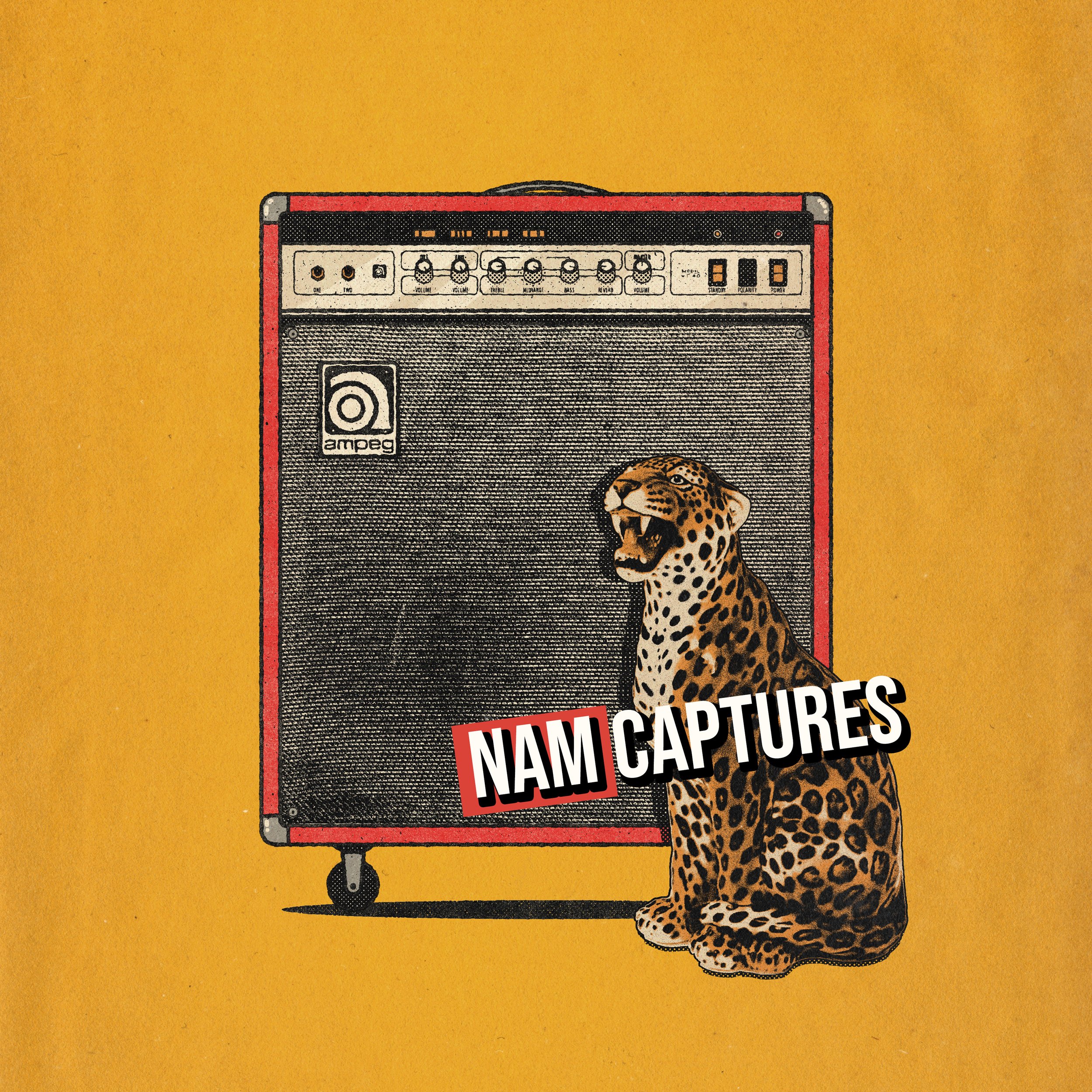 Ampeg VT-40 NAM Captures