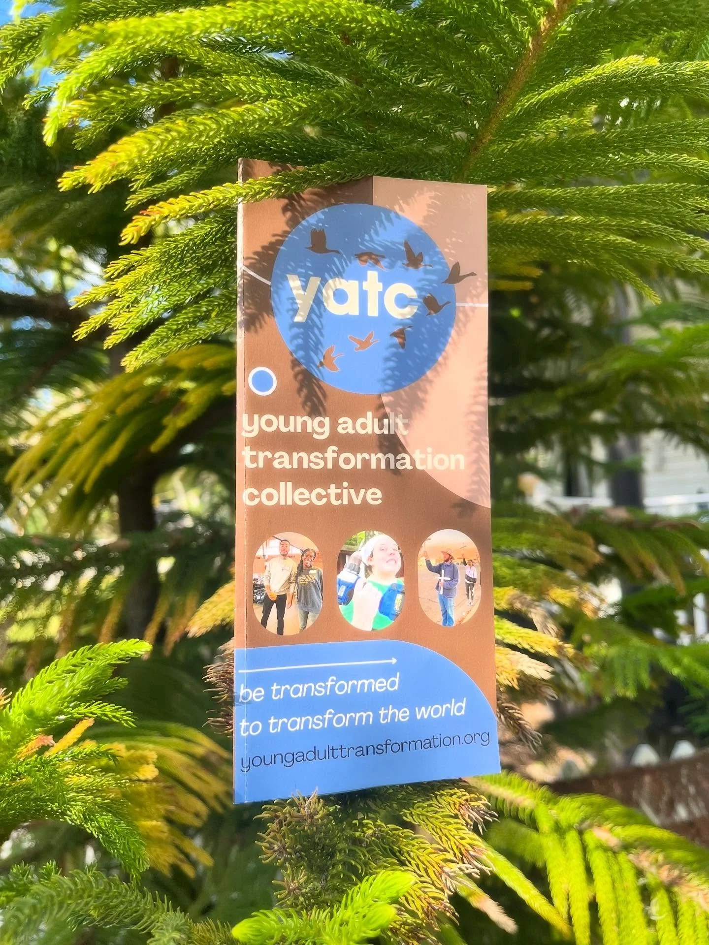Fall is in full swing, which means 18 Young Adults are settling in for their year at YATC Member Sites from Asheville, NC, west to Tucson and Tahoe.
And we will be able to soon announce a new Member Site, in a new state and region. Any guesses? 
Zo