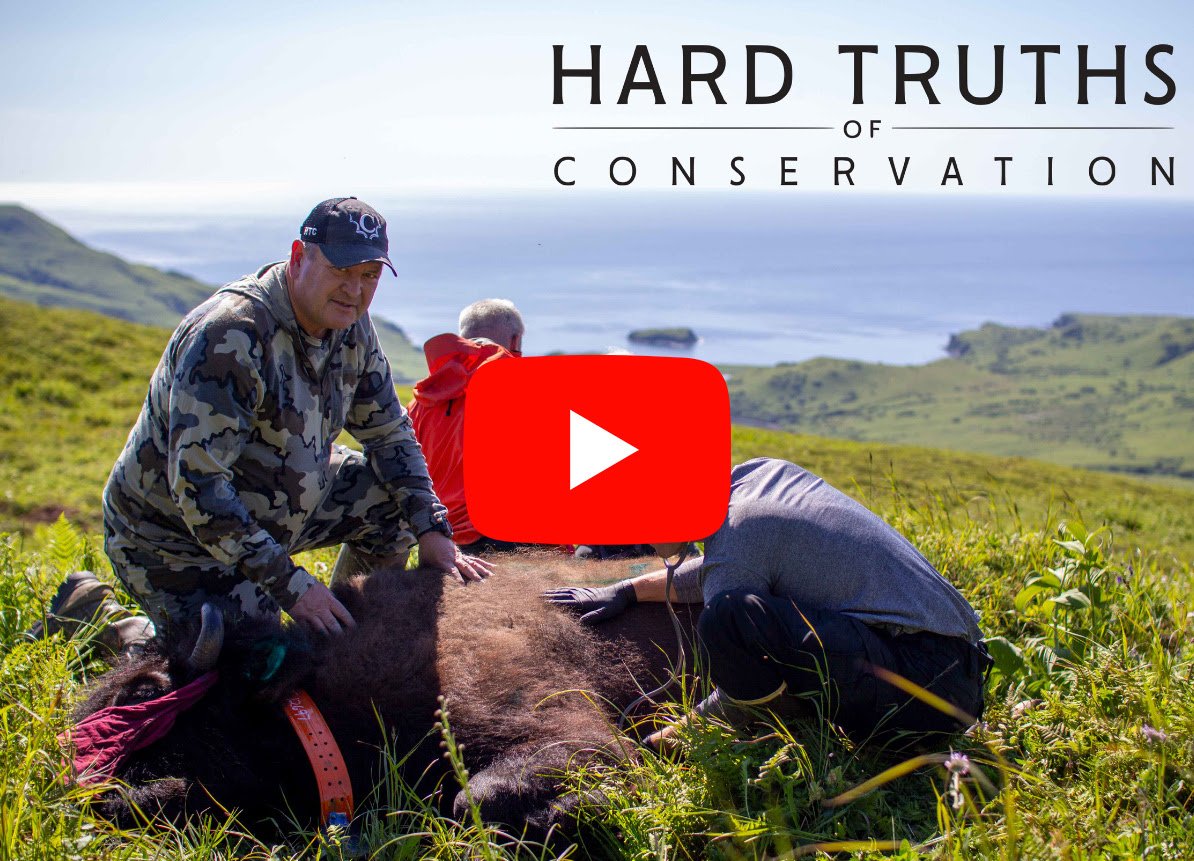 HTC is back for Season 4!