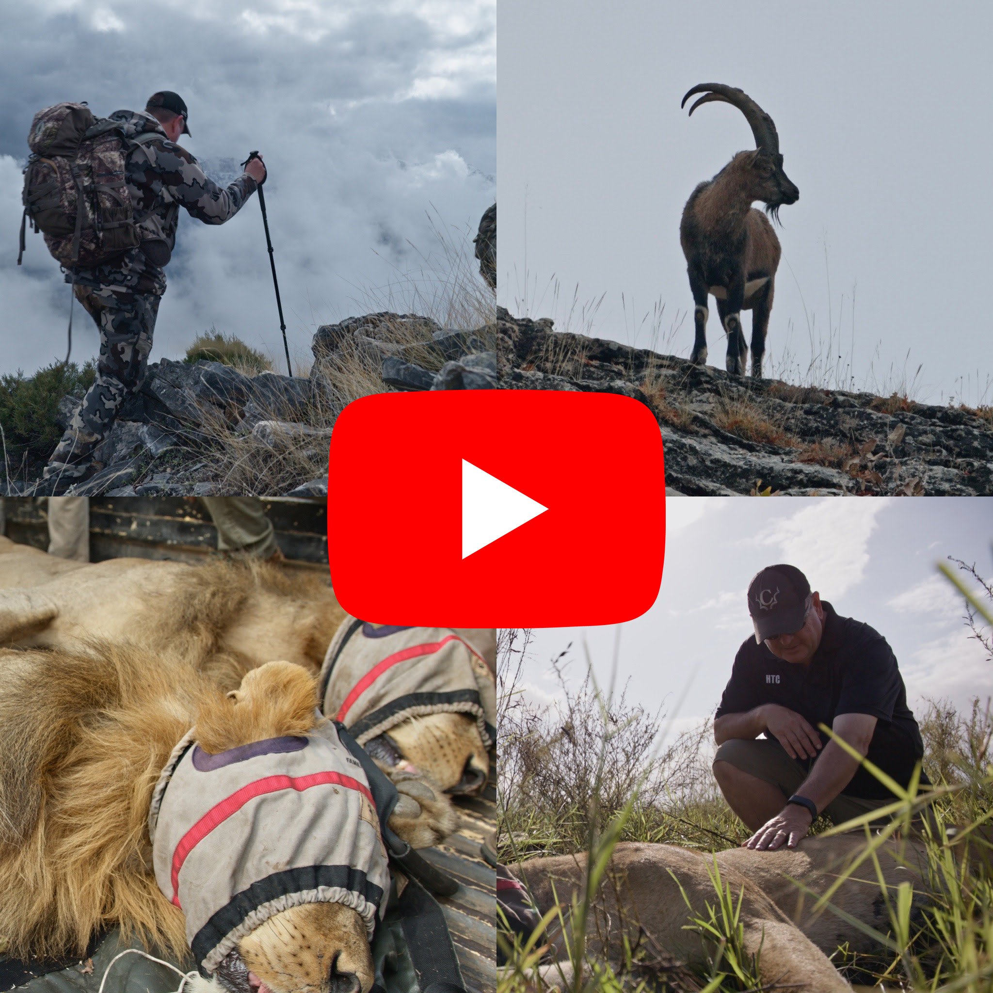 A layered story rooted in truth