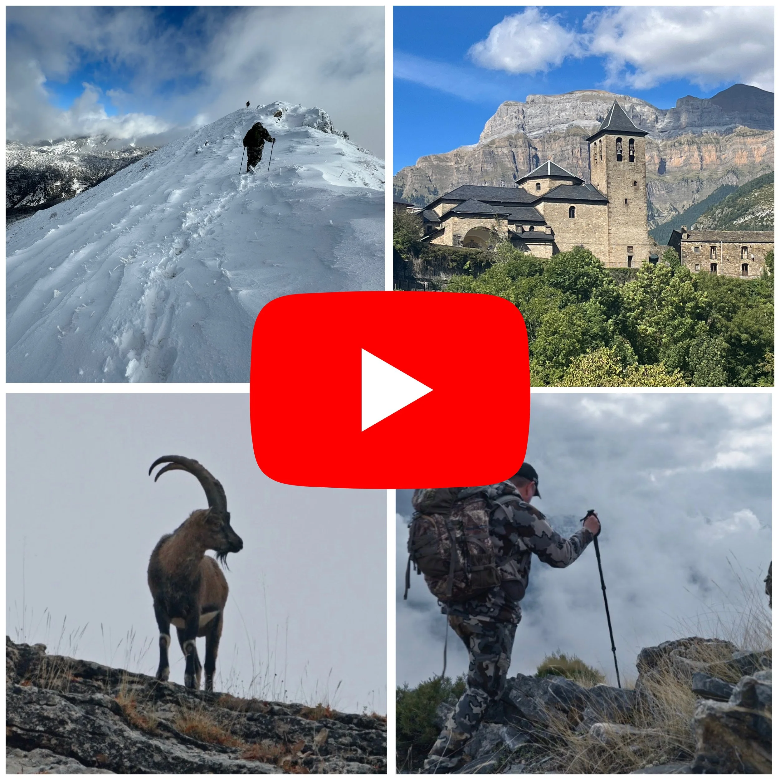 Mountain Species Saved By Hunting