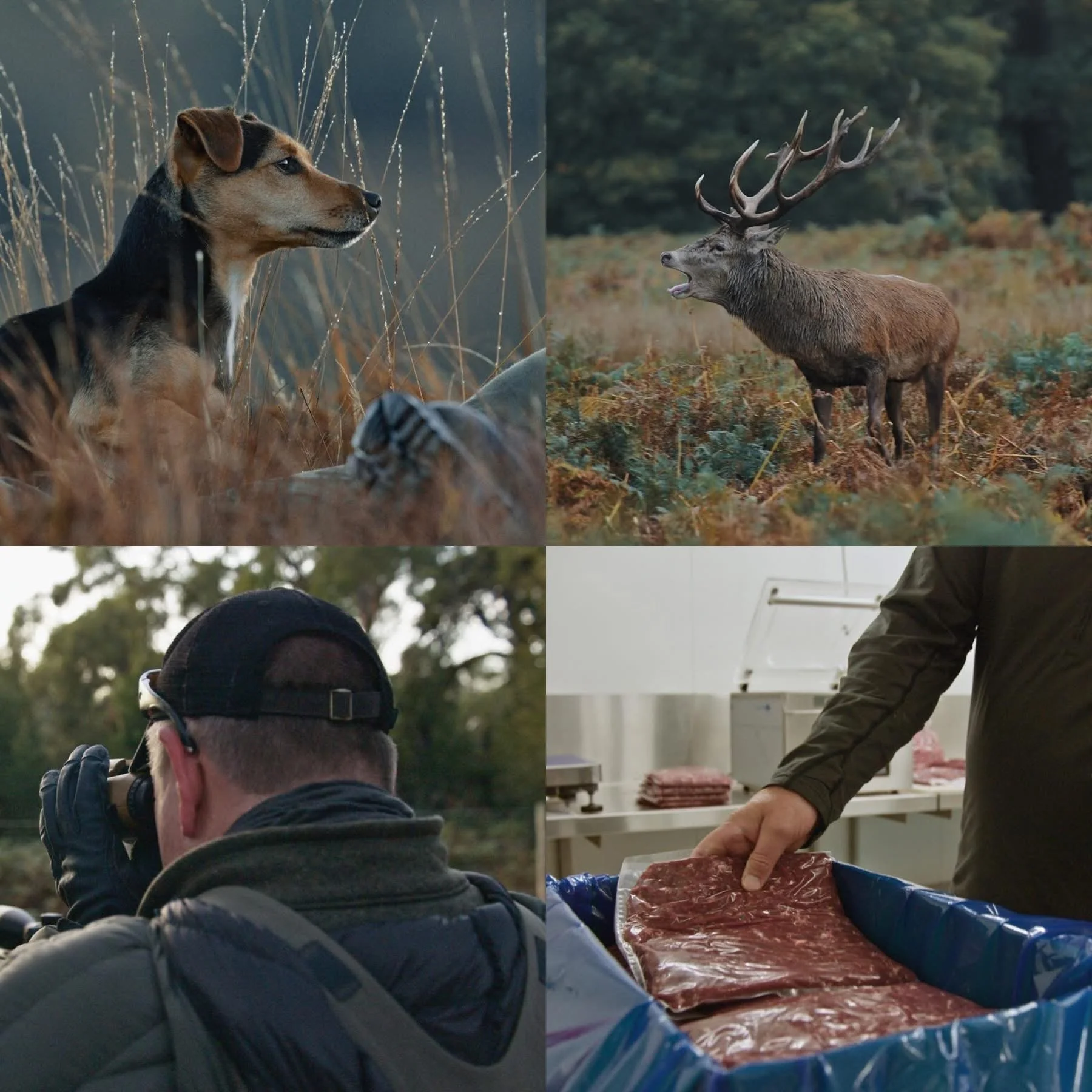 From Great Britain to Australia, Hunting Has Its Place