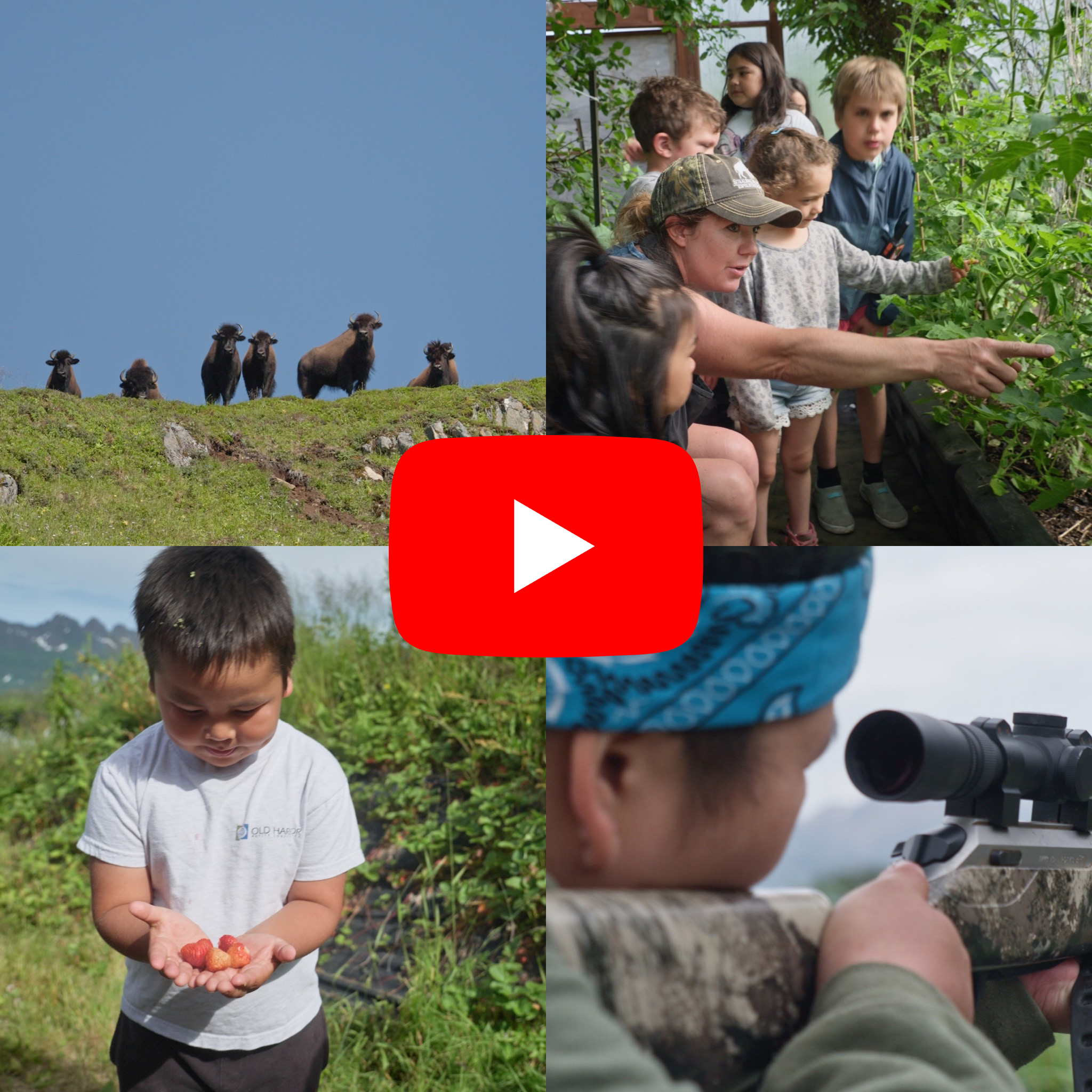 The Future of Conservation