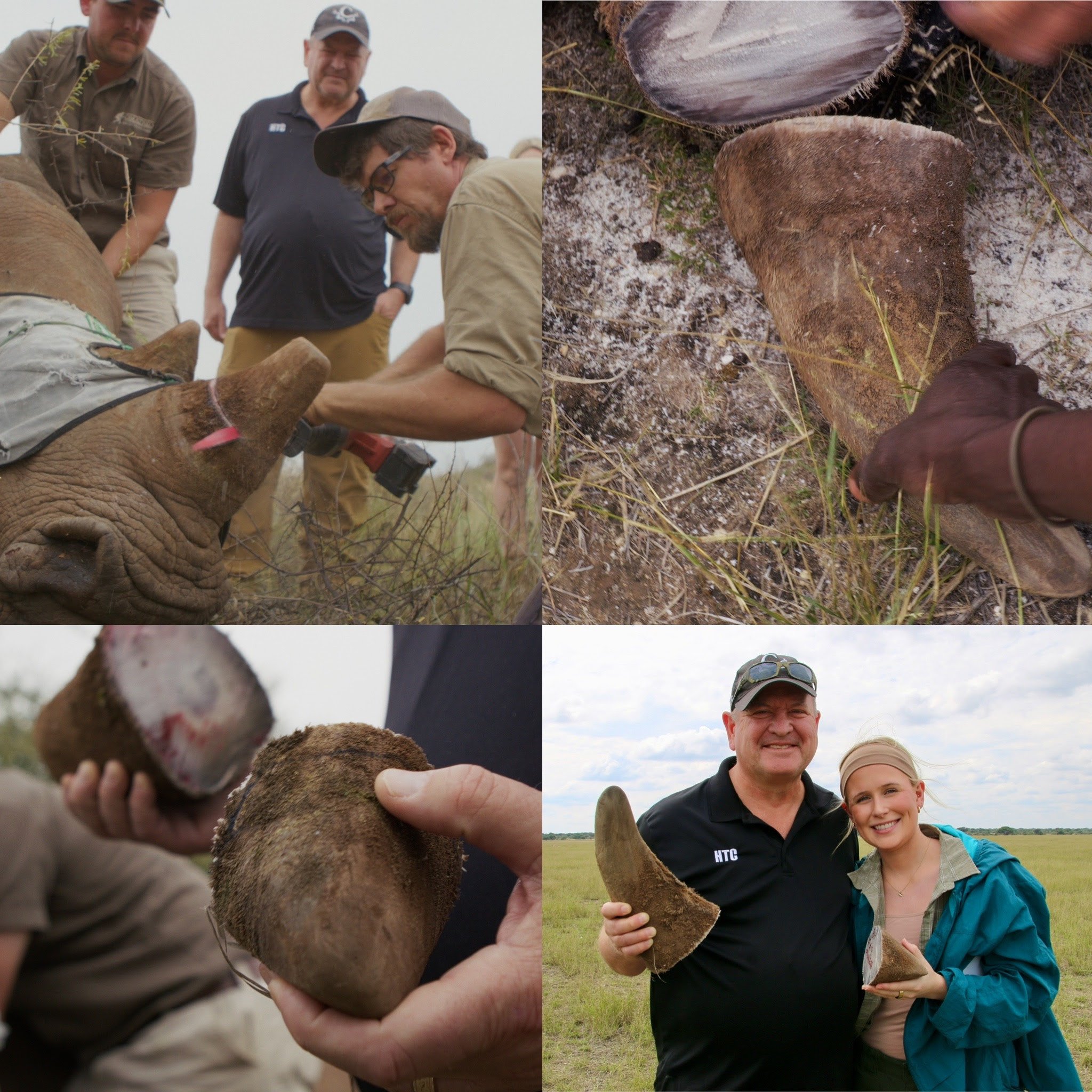 Hands-on Rhino Conservation in Namibia
