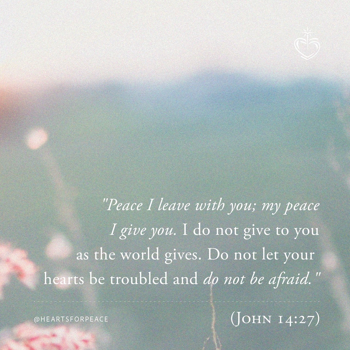 This promise from John 14:27 reminds us to be instruments of peace in our world today. Let&rsquo;s take a moment to reflect on how we can share Christ&rsquo;s peace with those around us. 💛

&mdash;&mdash;
Esta promesa de Juan 14:27 nos recuerda ser 