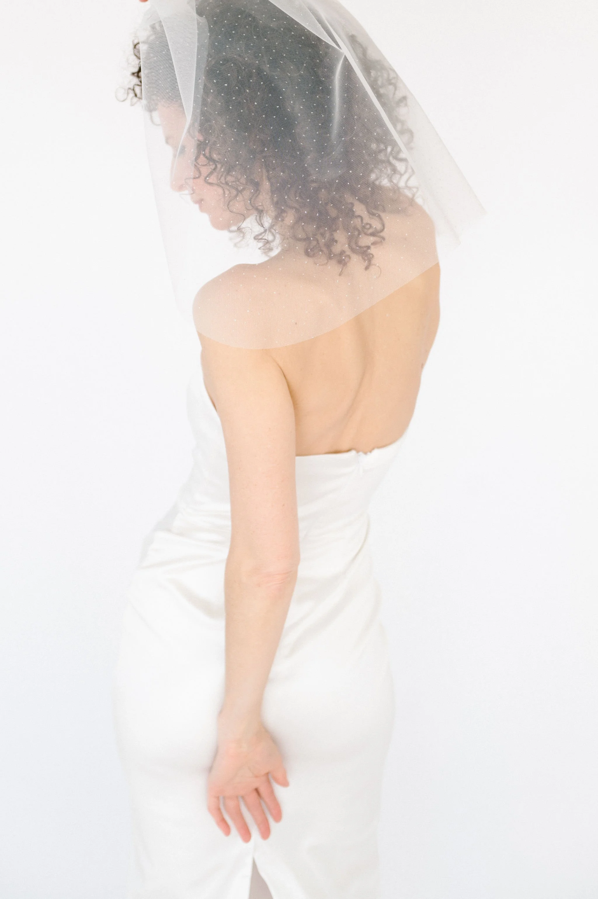 Short Glitter Veil 6.jpg