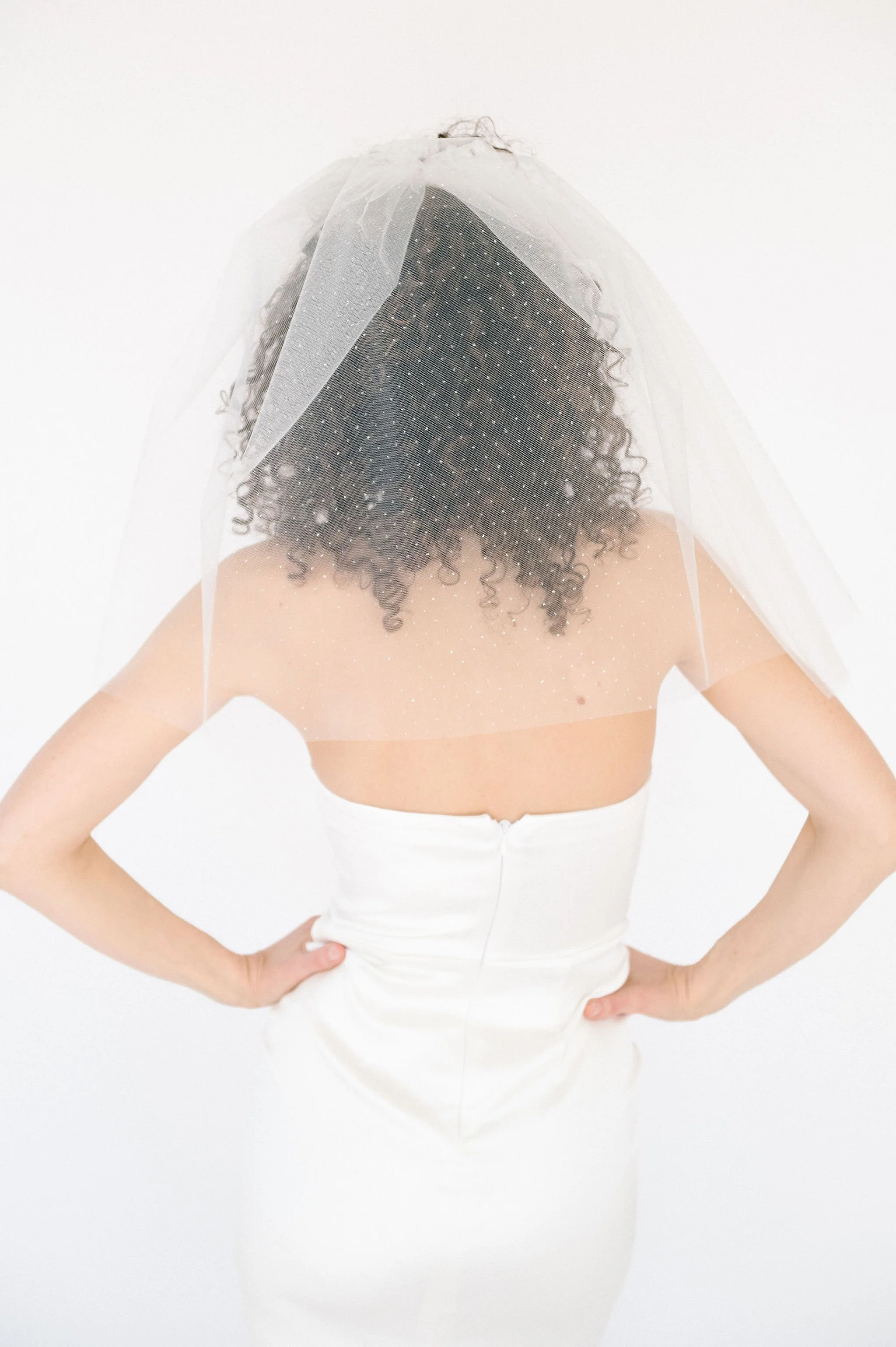 Short Glitter Veil 5.jpg