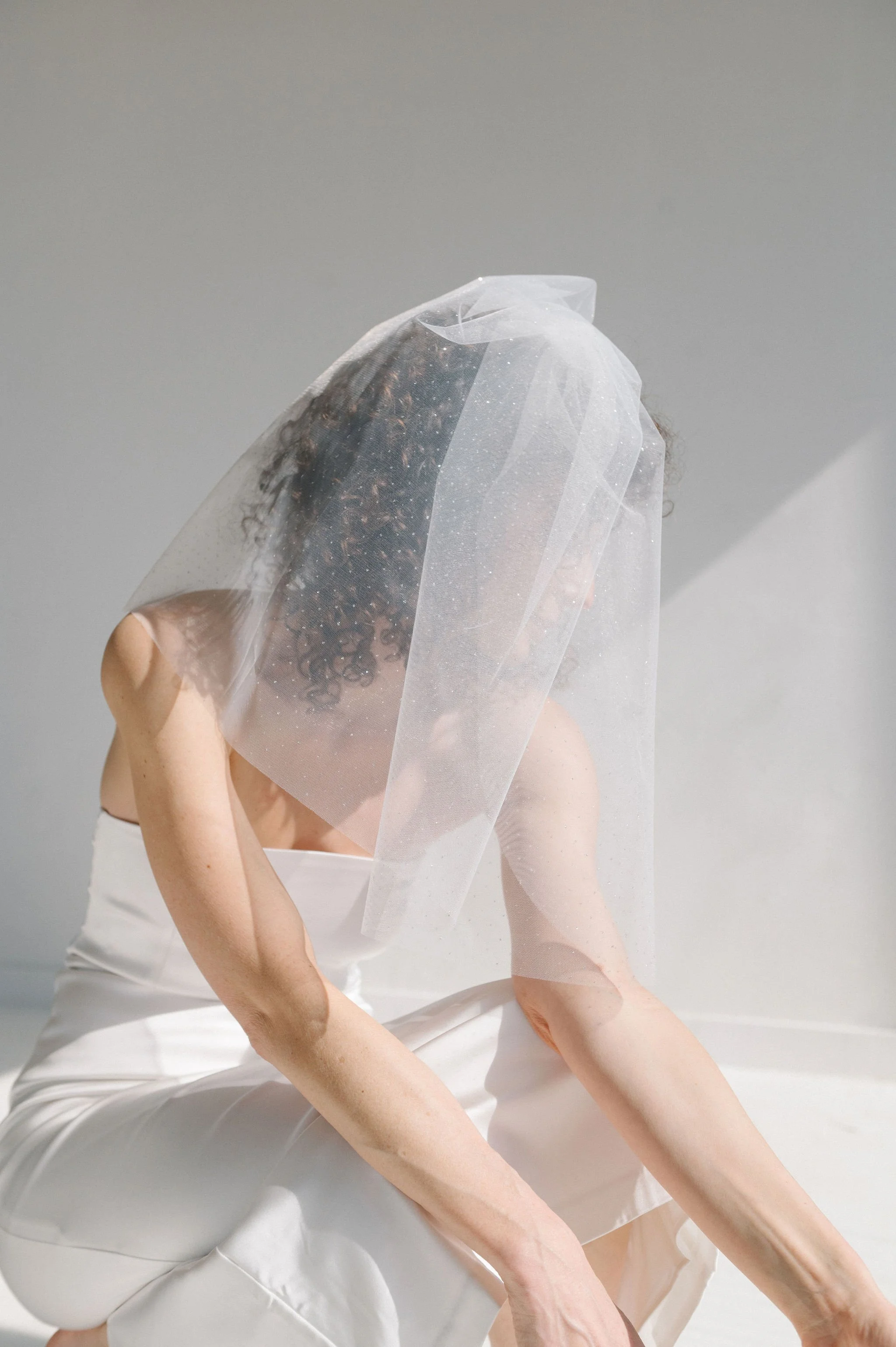 Short Glitter Veil 2.jpg