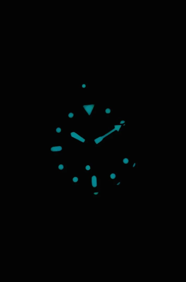 Seiko SKX007 42mm Diver: 2017 Box, hang tags and Papers