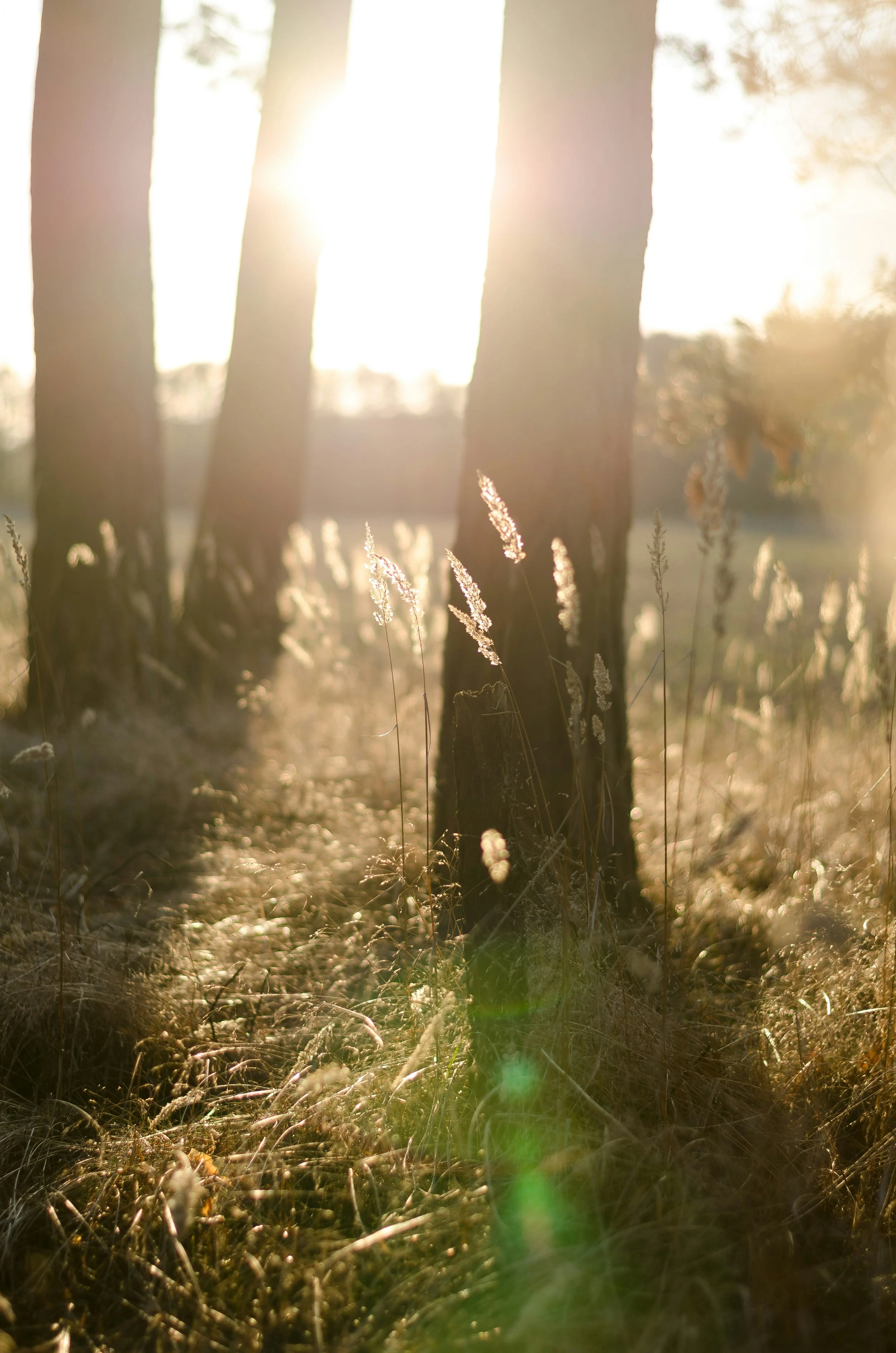 The Quieter Gifts of Breathwork: Beyond release and catharsis