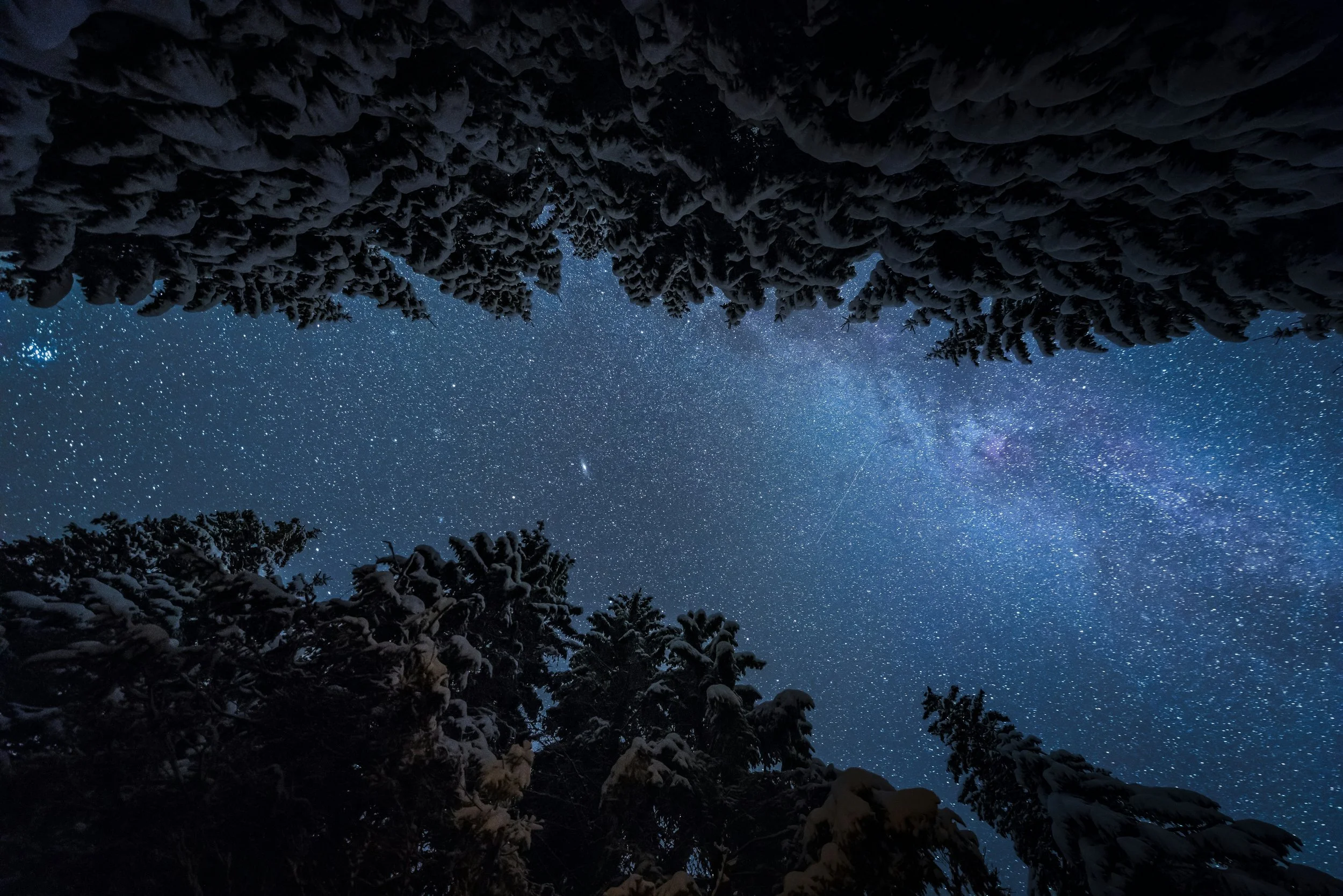 Star-filled night sky representing immersive breathwork workshops and expanded states of consciousness