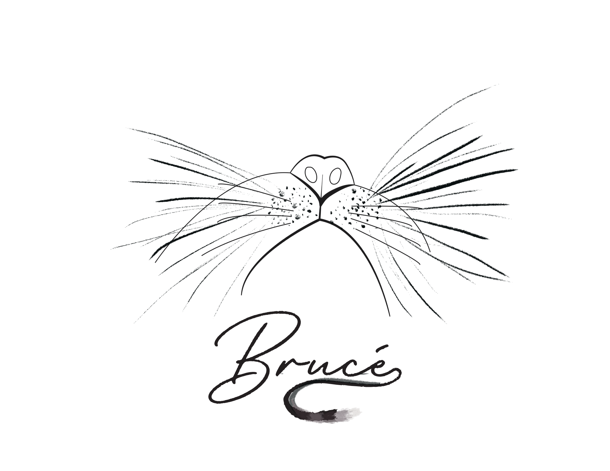 Brucé day 