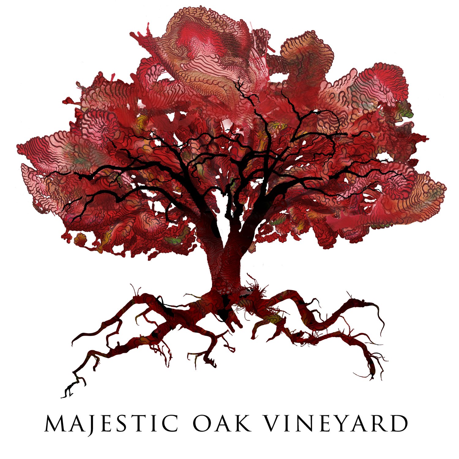 Majestic Oak Vineyard