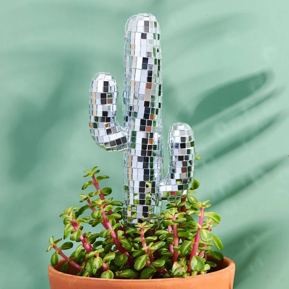 Disco Cactus