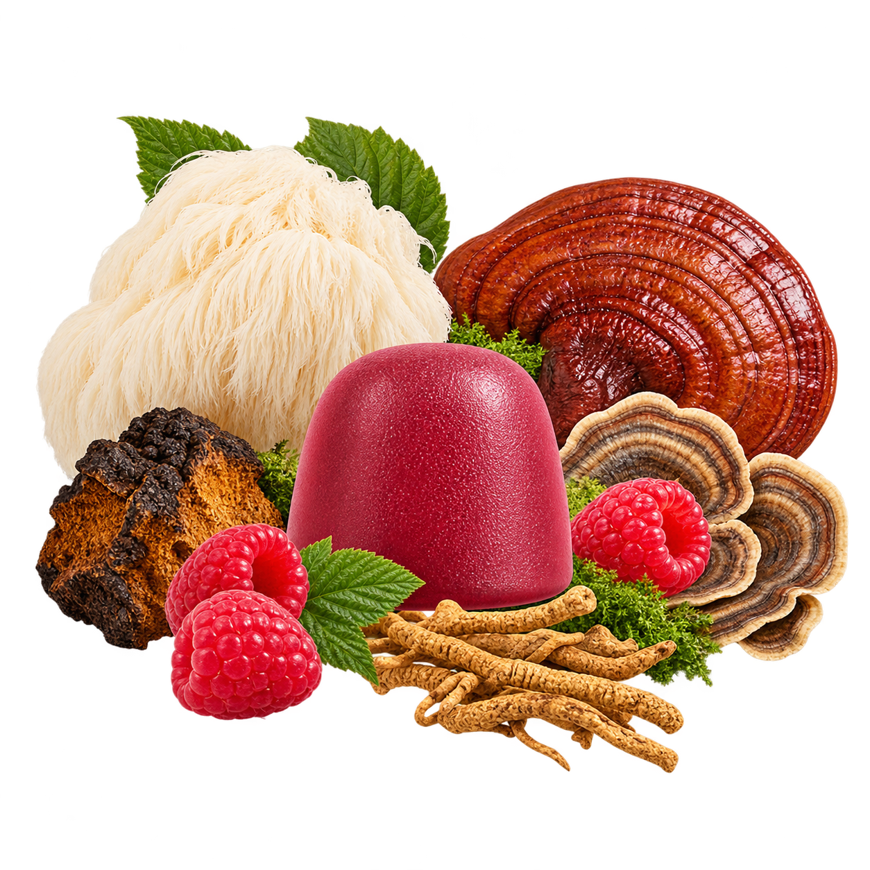   Wonder Day  —  Daily Wild Raspberry   Lion’s Mane, Cordyceps, Reishi, Chaga + Mushroom Blend  ➝ Energy • Mood • Focus • Immunity  
                             