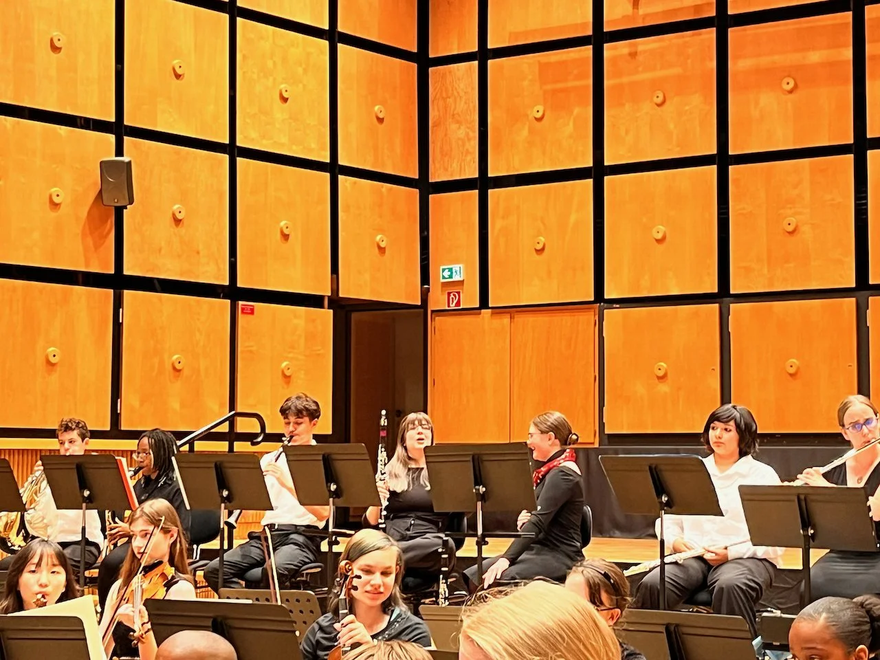 Dez Konzert - 10.jpeg