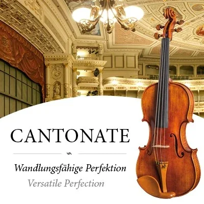 Geige-Cantonate_480x480Kopie_480x480.webp