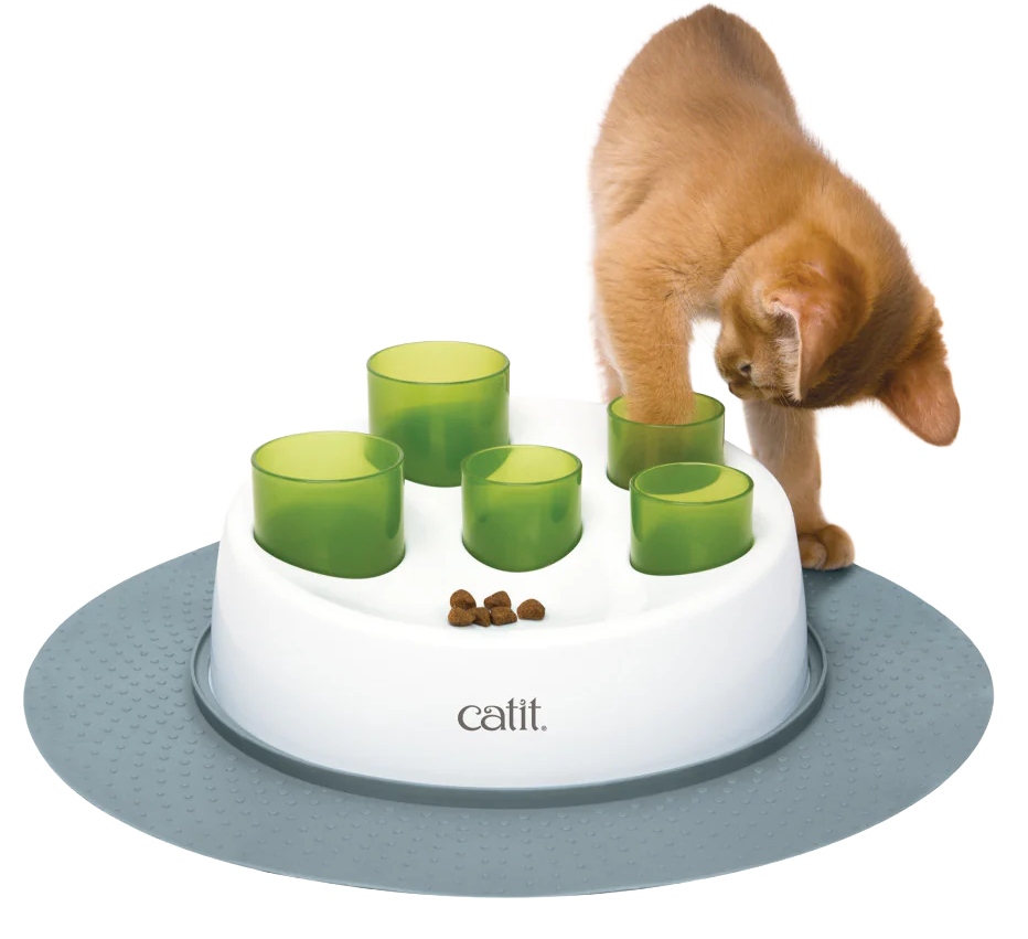 Cat playing with Catit Senses Digger.