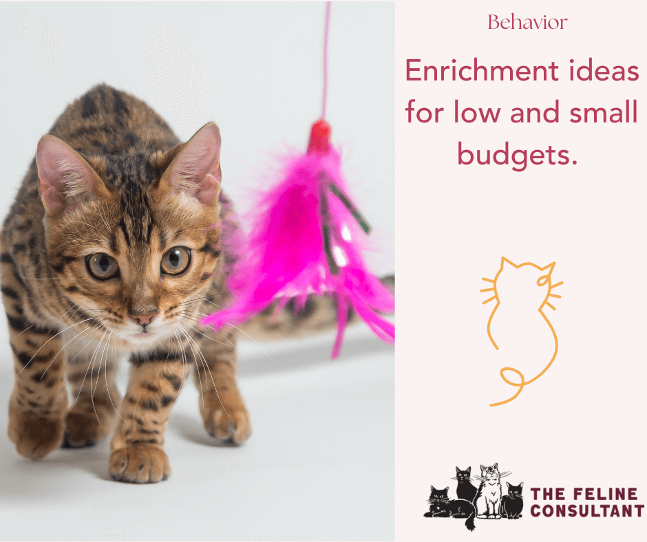 Enrichment Ideas for Low and Small Budgets