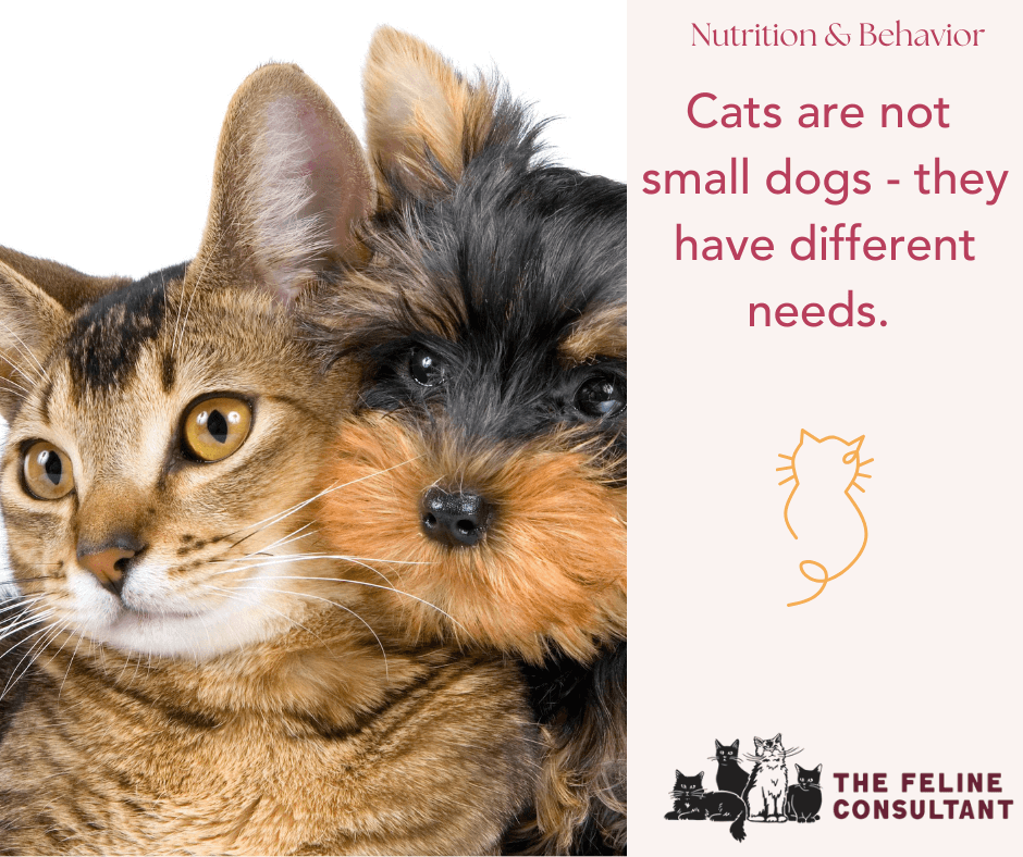 Cats are not small dogs - they have different needs.