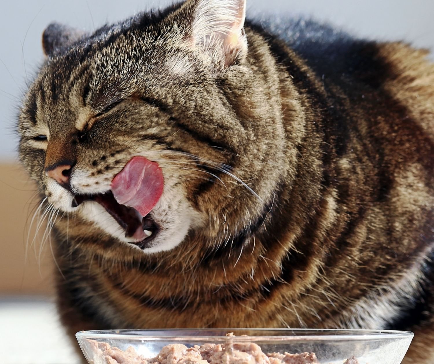 Feeding guidelines - why they matter. 