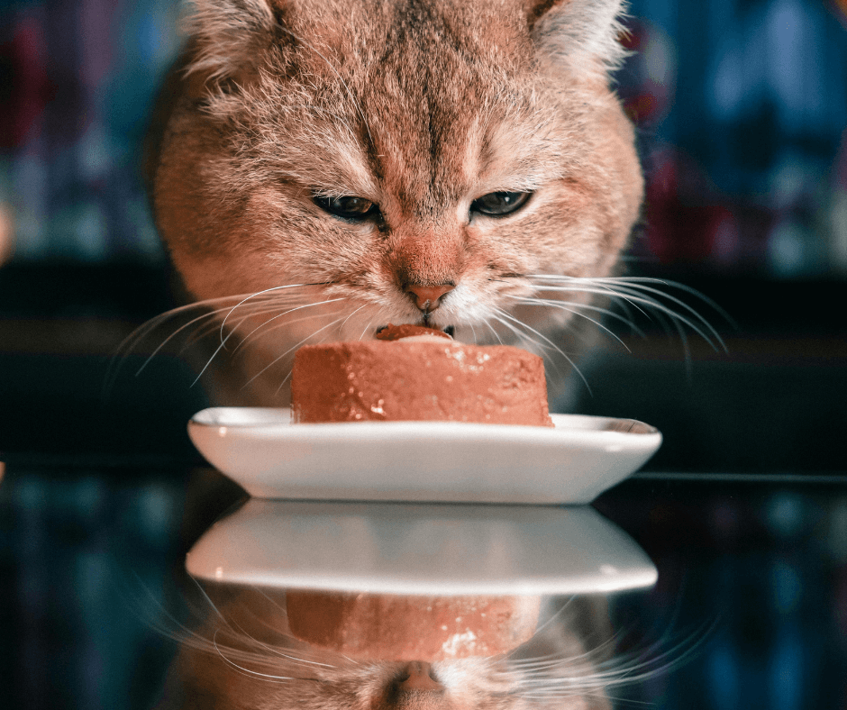 The science of creating a picky eater.