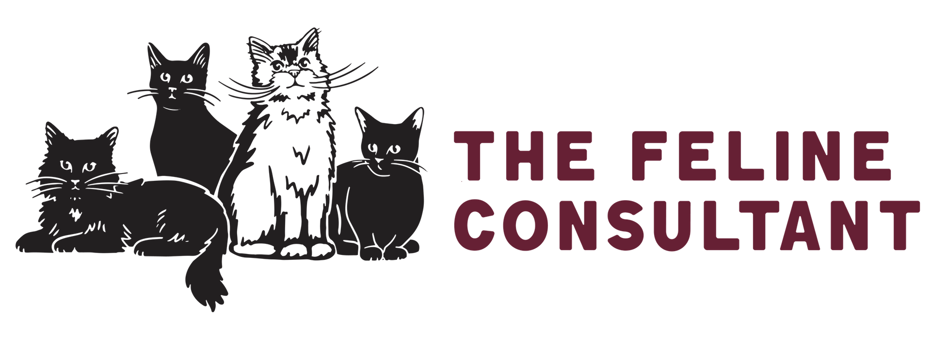 Sandra Grossmann | The Feline Consultant | Cat Nutrition and Cat Behavior Consultant