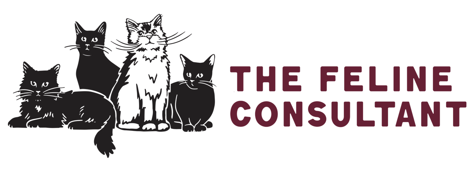 The Feline Consultant