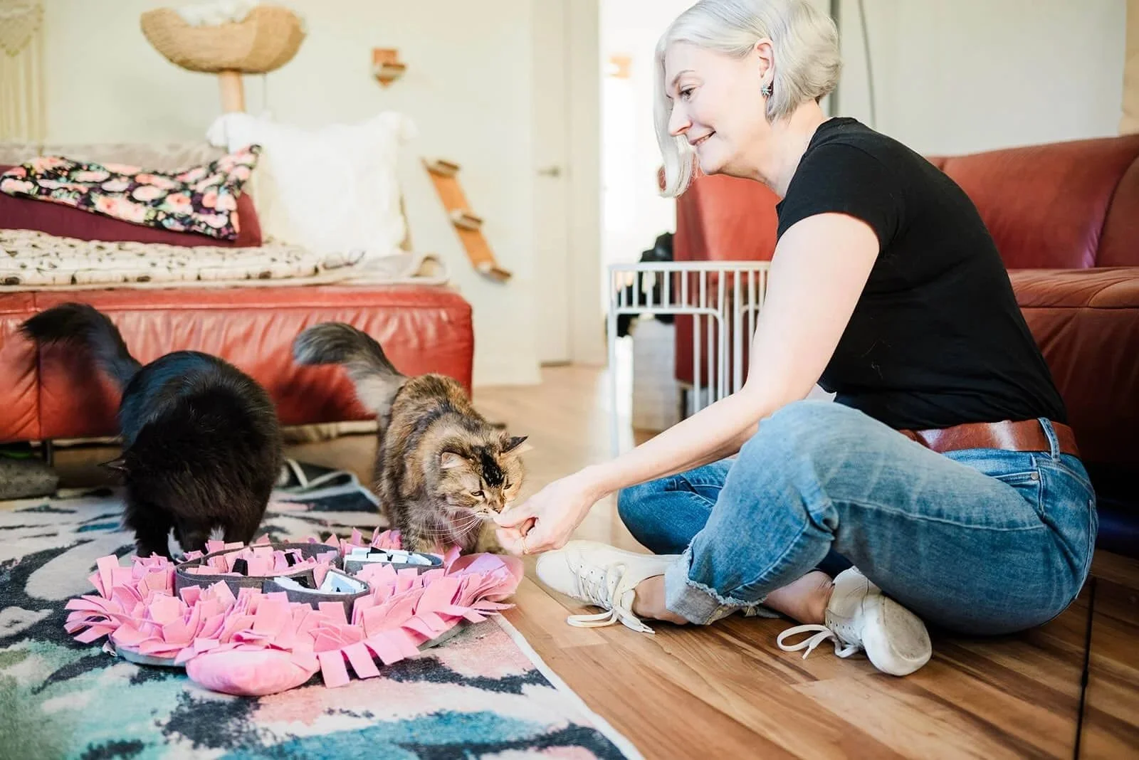 The Feline Consultant playing with and feeding cats representing cat behavior and nutrition support.