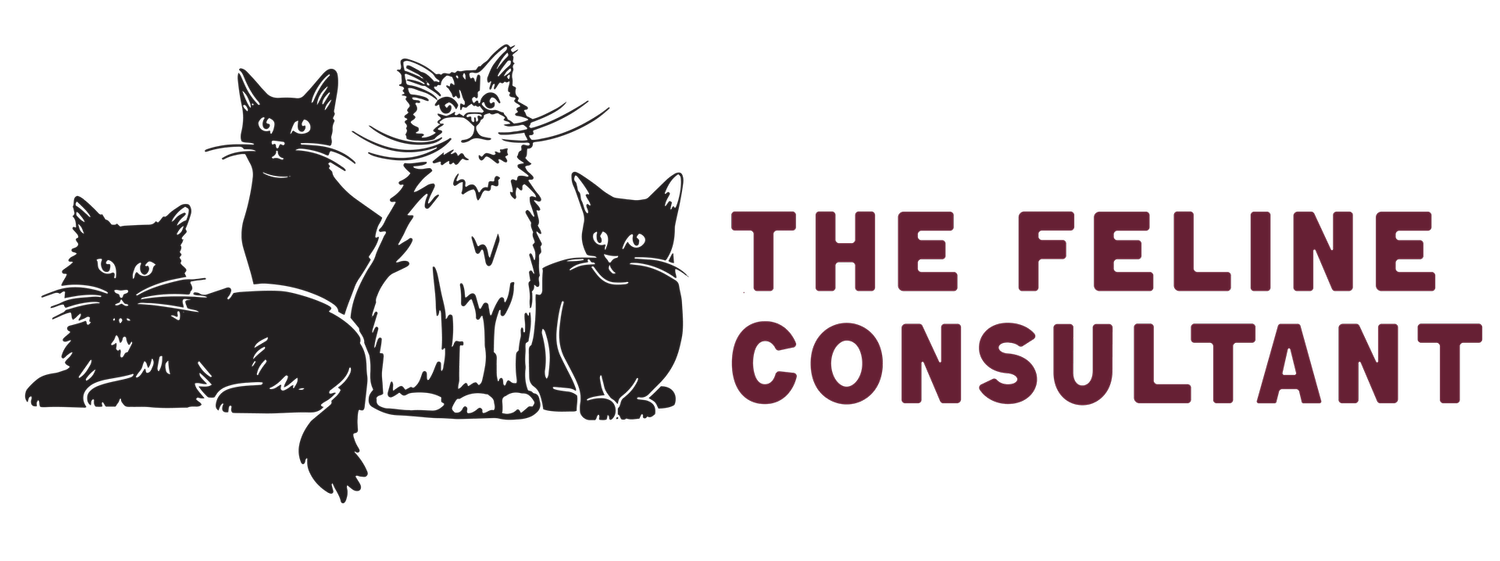 The Feline Consultant