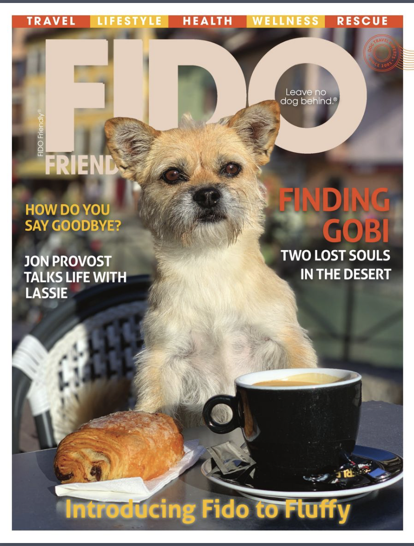 FidoFriendlyMagazine