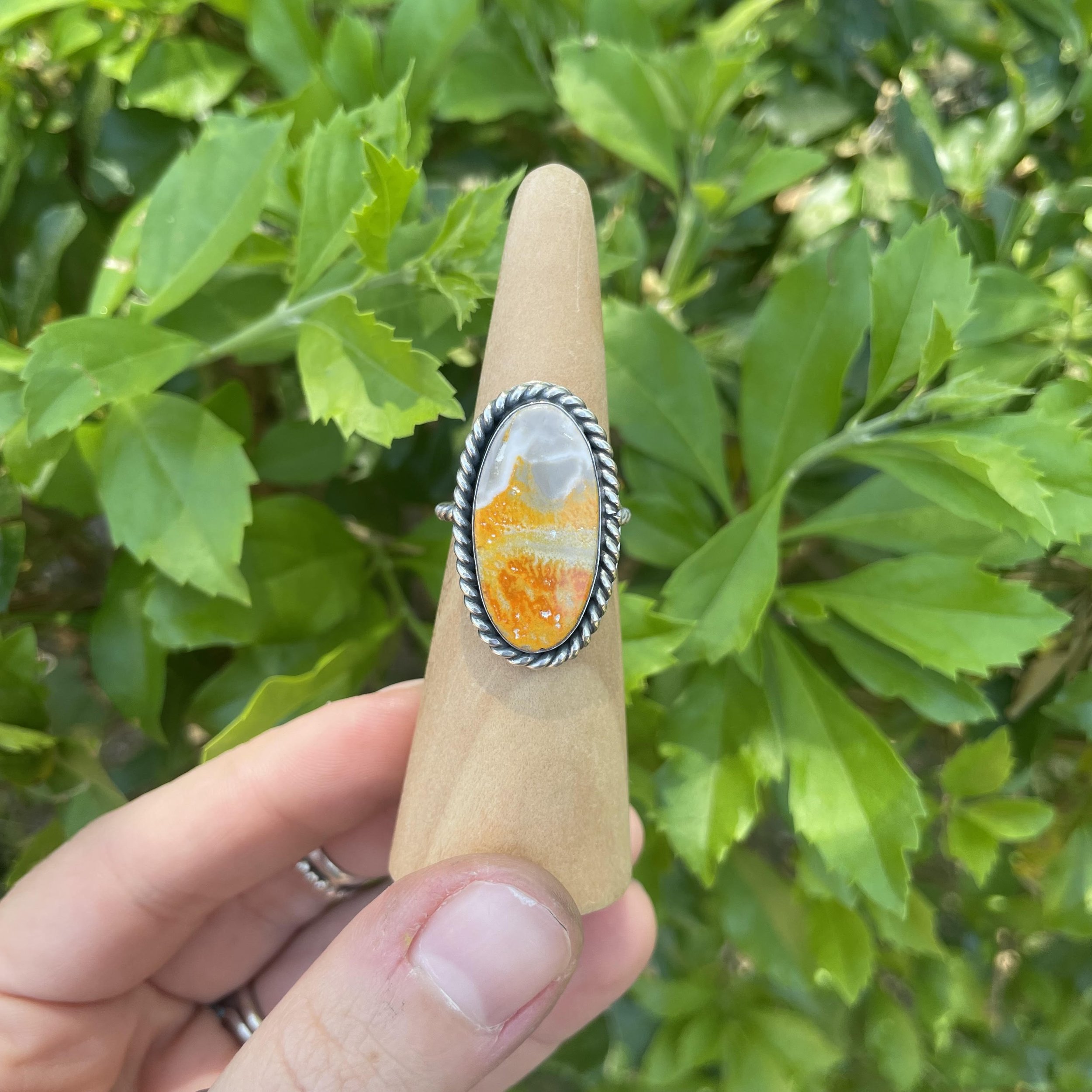 Bumblebee Jasper 8