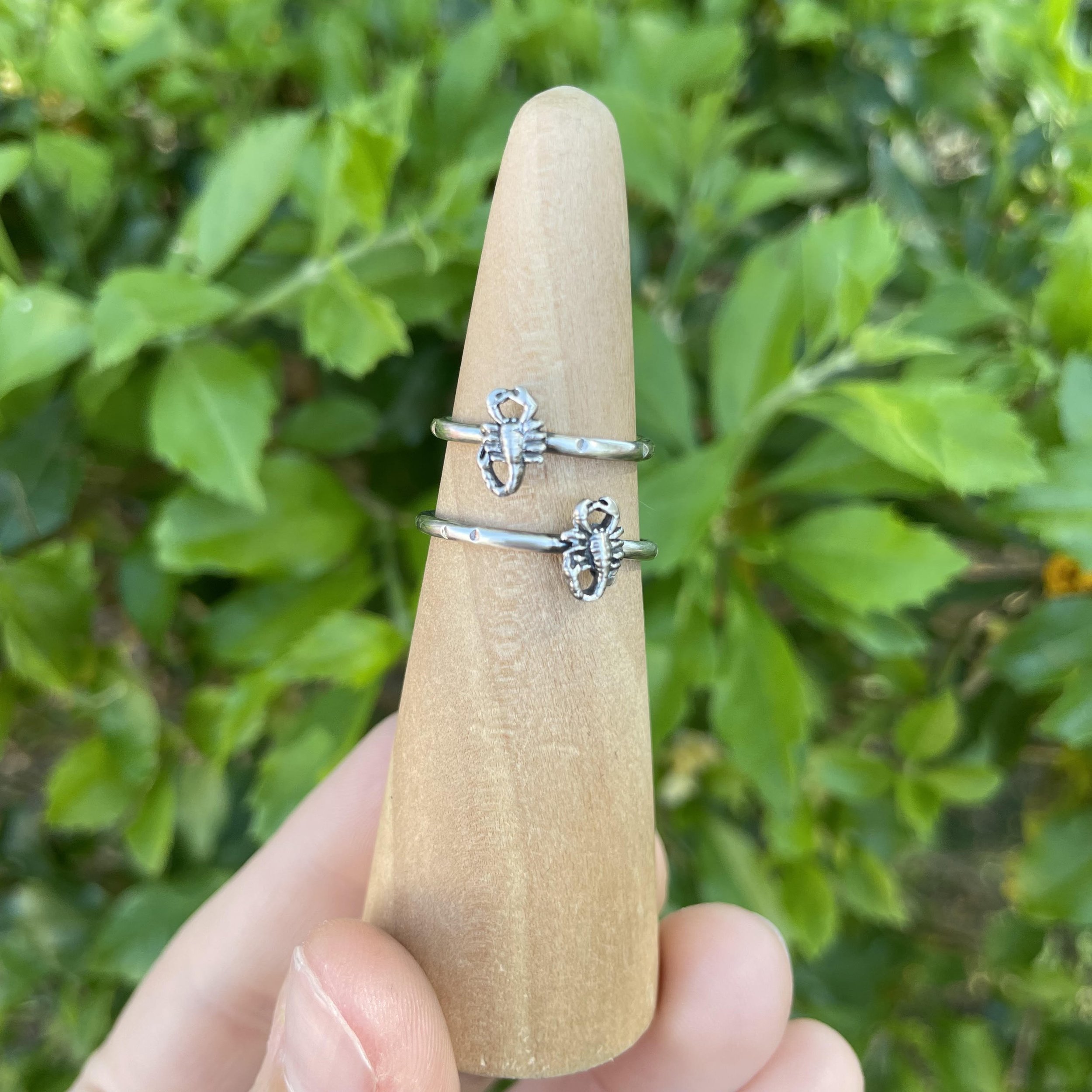 Silver Scorpion