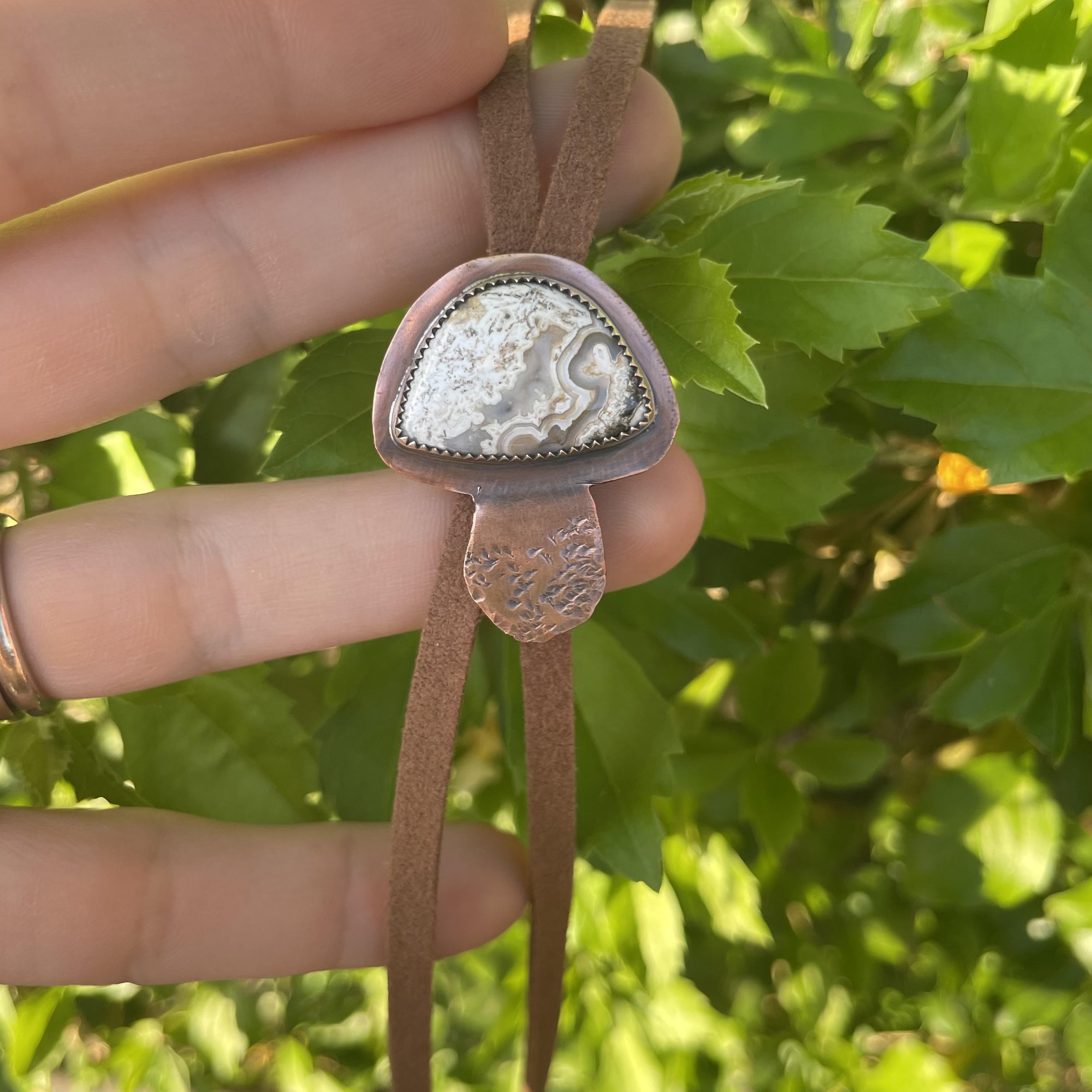 mushroom bolo3.jpeg