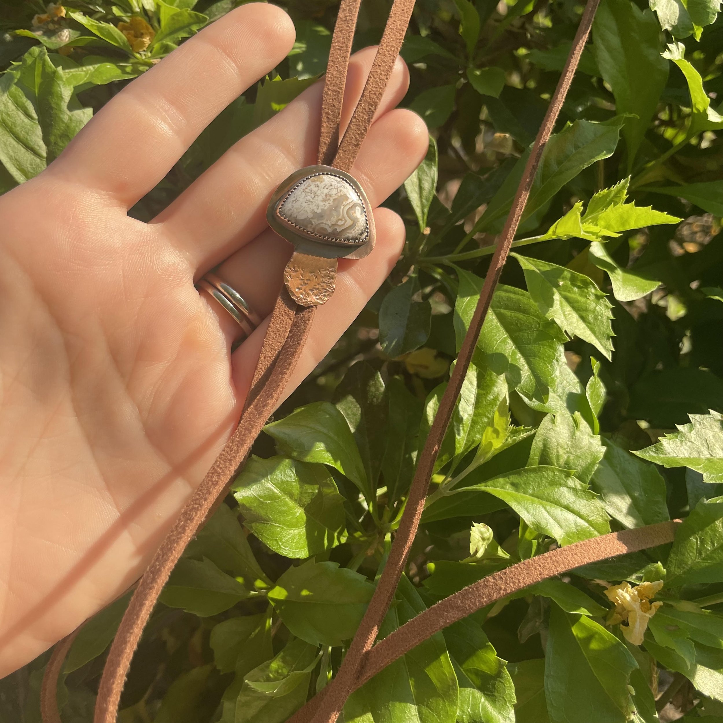 mushroom bolo 4.jpeg