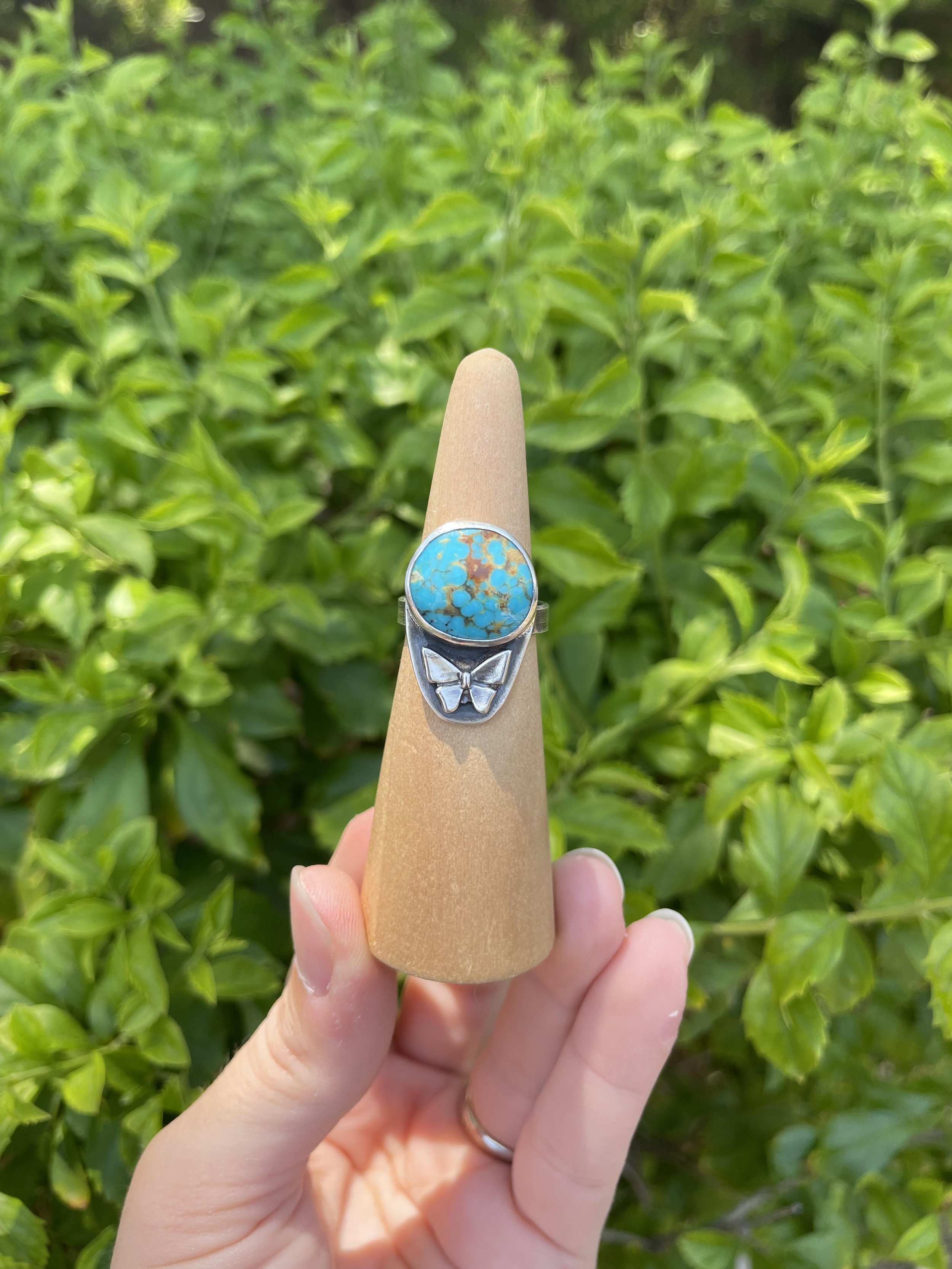 Turquoise Butterfly 8