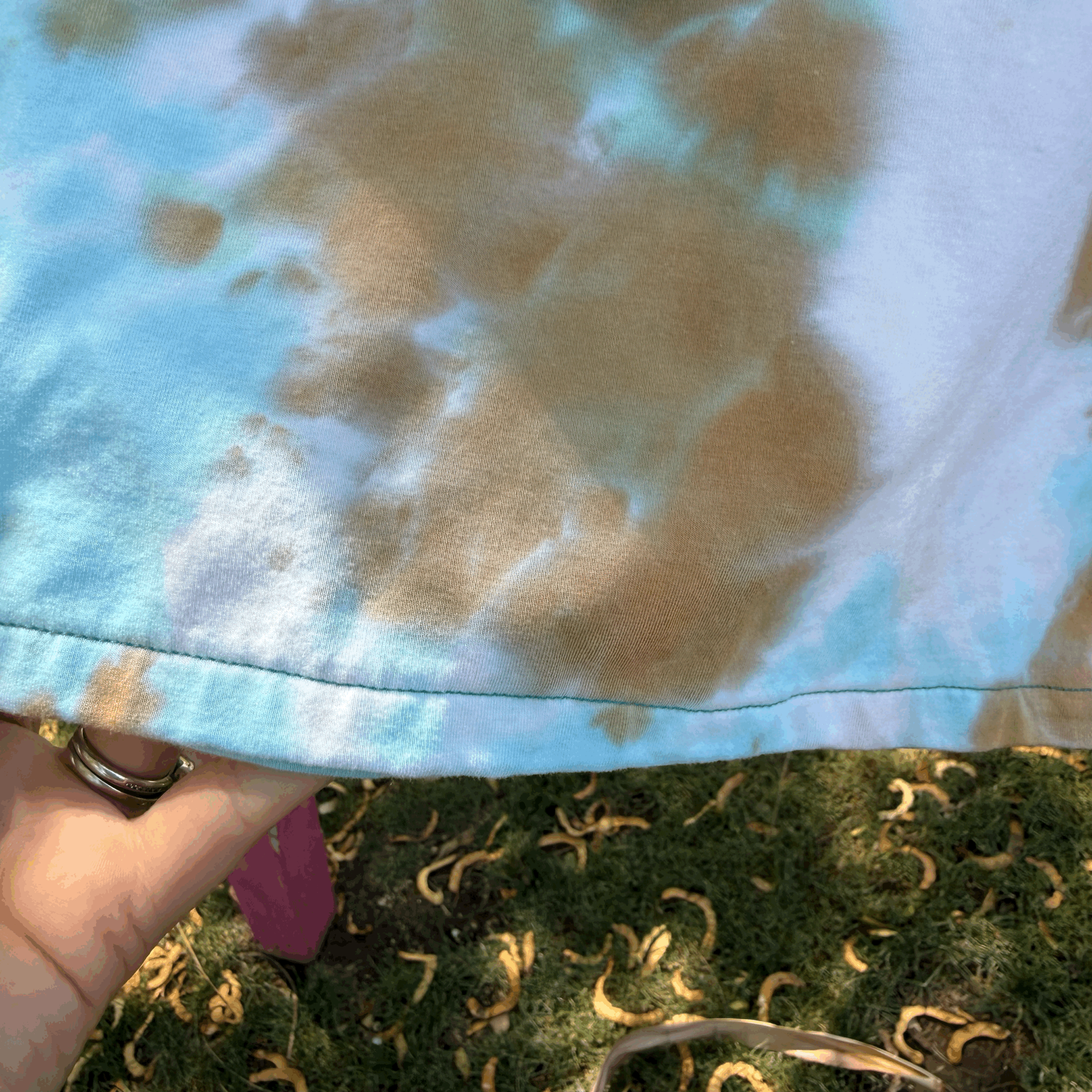 tempImageCAG1ly.gif