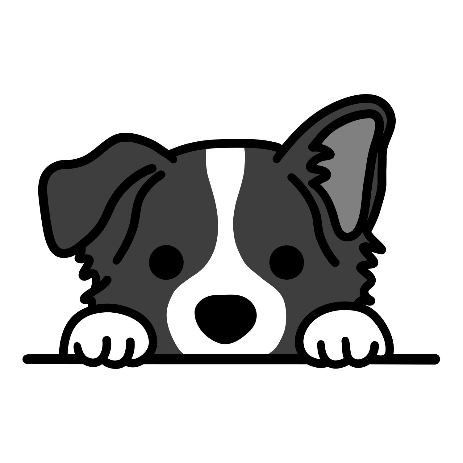 Border Collie.png