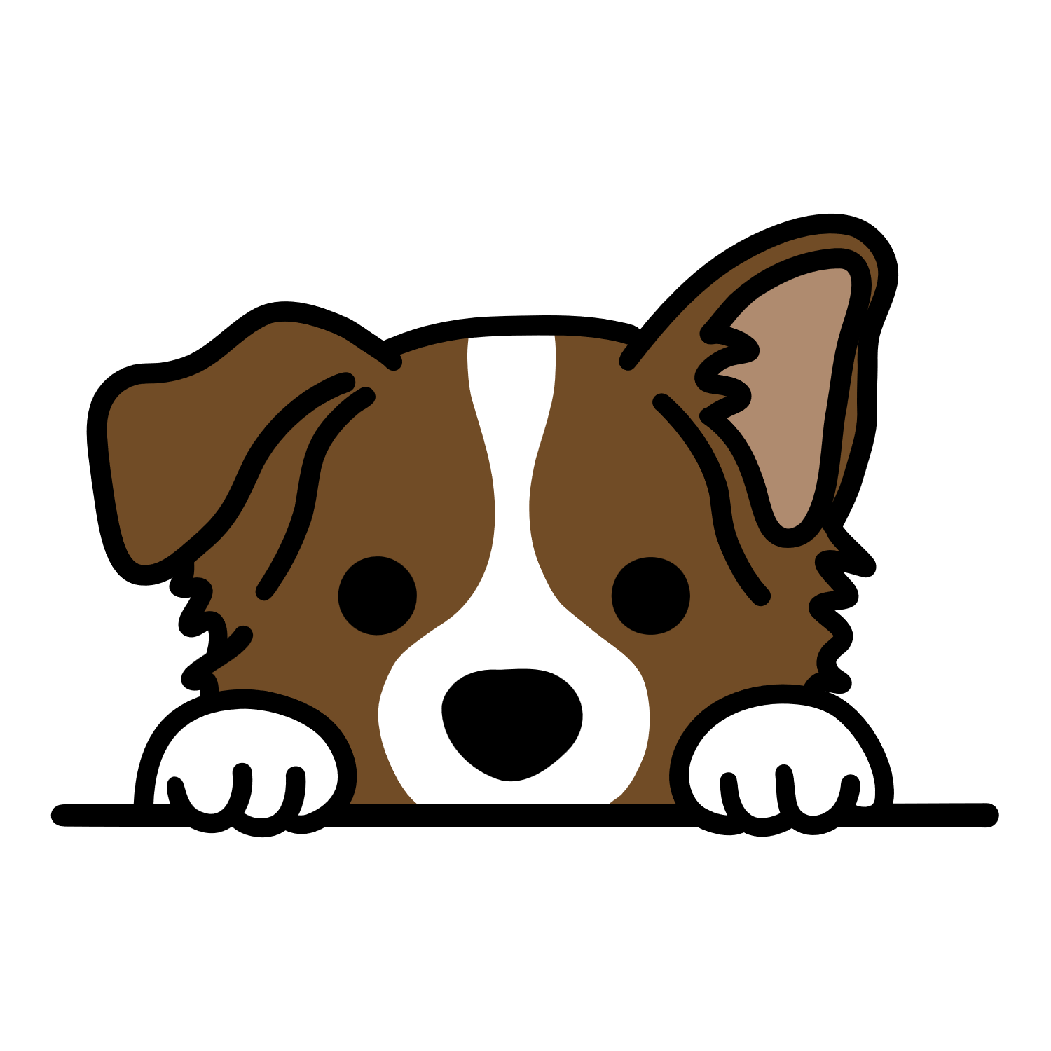 Brown Border Collie.png