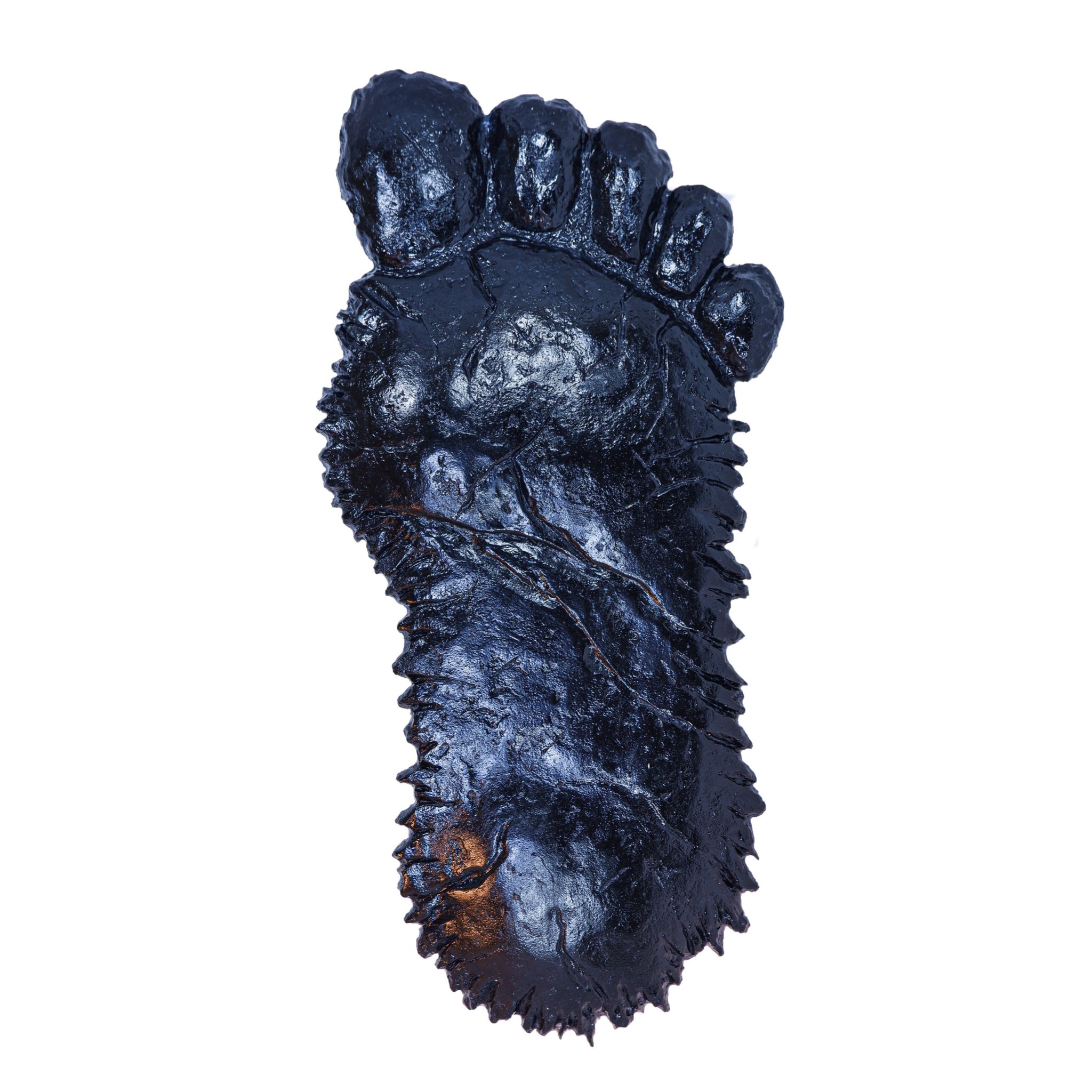 Bigfoot bottom 2.jpeg