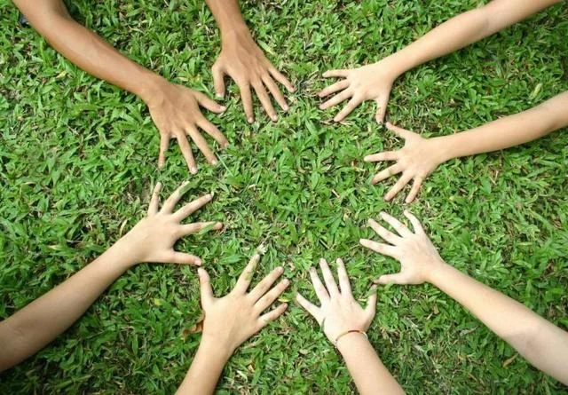 hands in grass.jpg